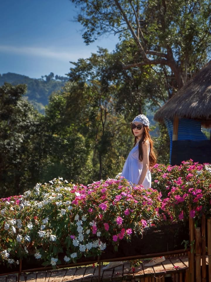 เป้ย - ปานวาด เหมมณี