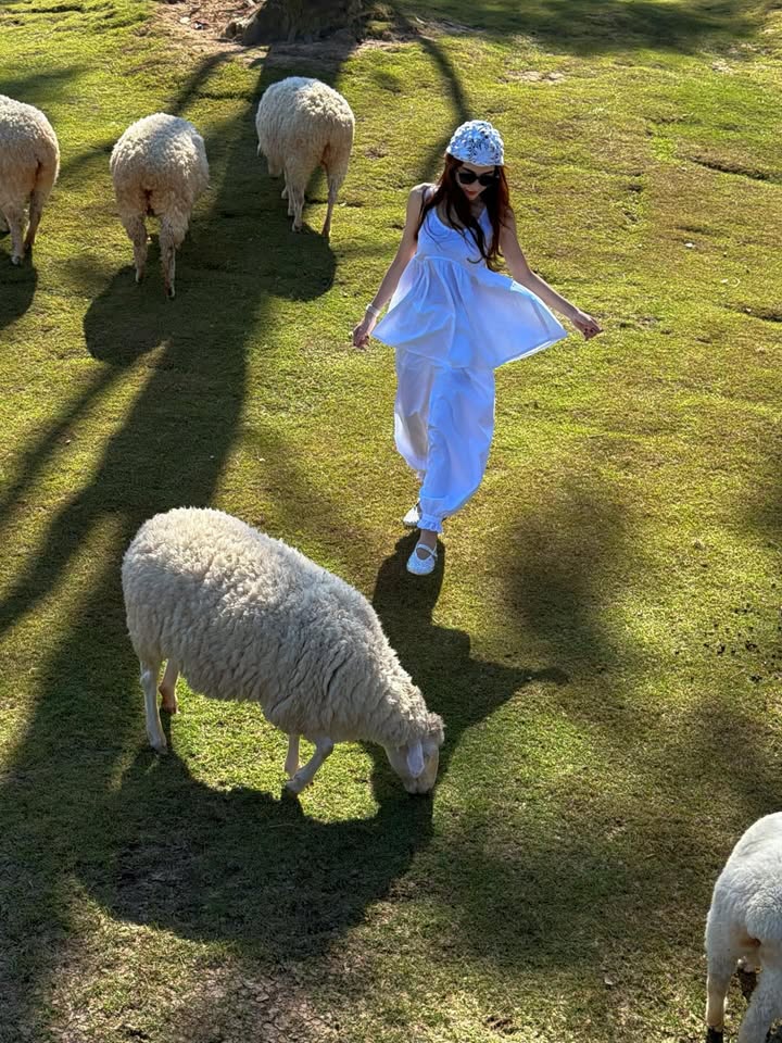 เป้ย - ปานวาด เหมมณี