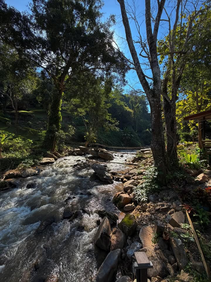 เป้ย - ปานวาด เหมมณี