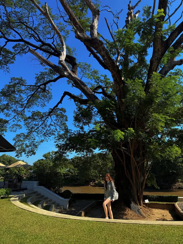 เป้ย - ปานวาด เหมมณี