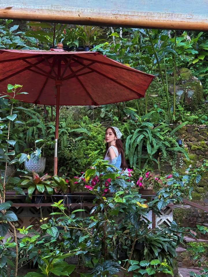 เป้ย - ปานวาด เหมมณี