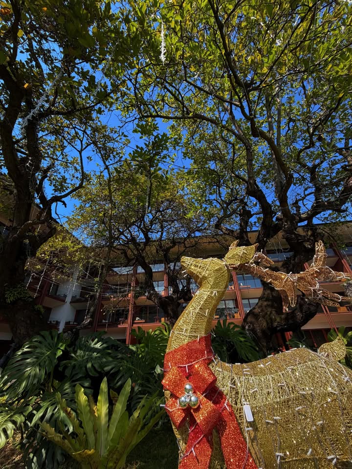 เป้ย - ปานวาด เหมมณี