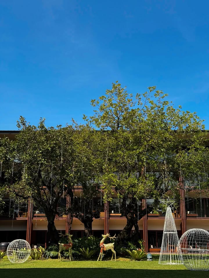 เป้ย - ปานวาด เหมมณี