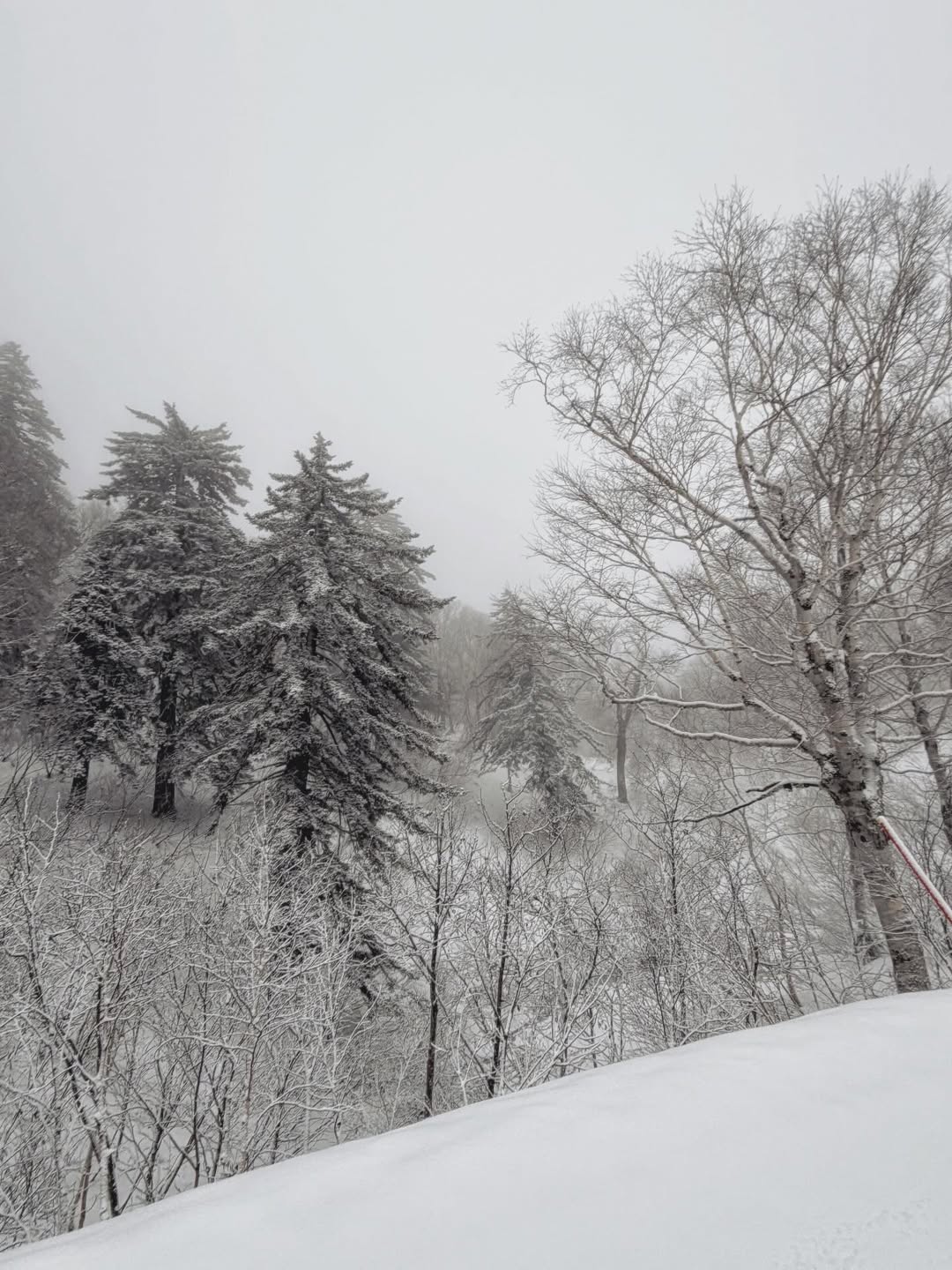 เป้ย - ปานวาด เหมมณี