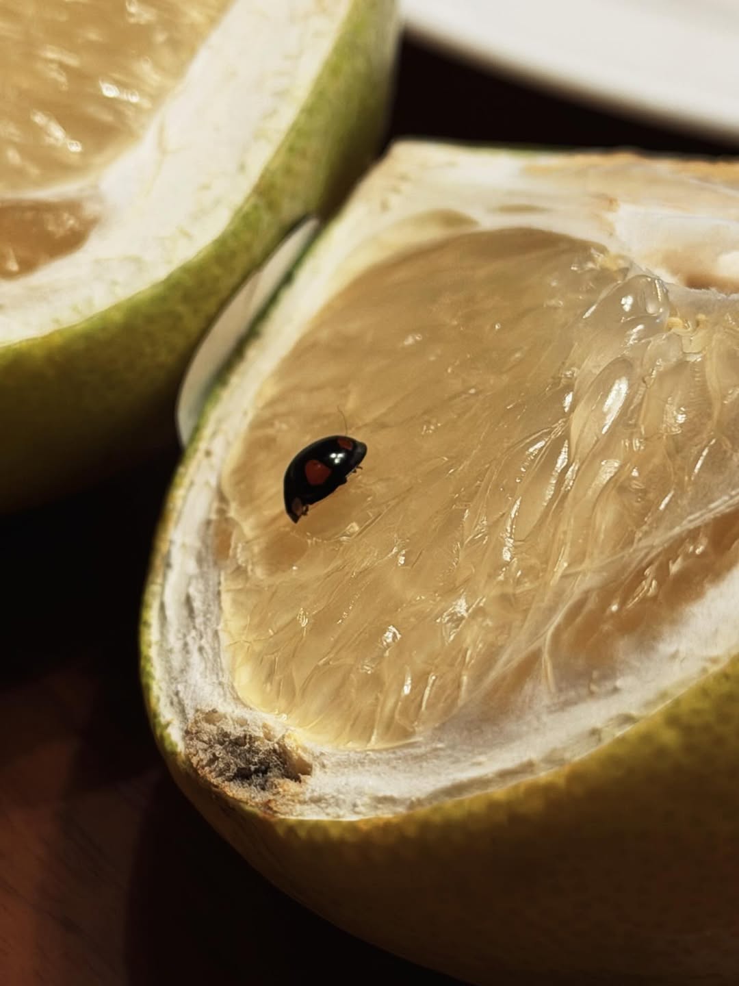 เป้ย - ปานวาด เหมมณี