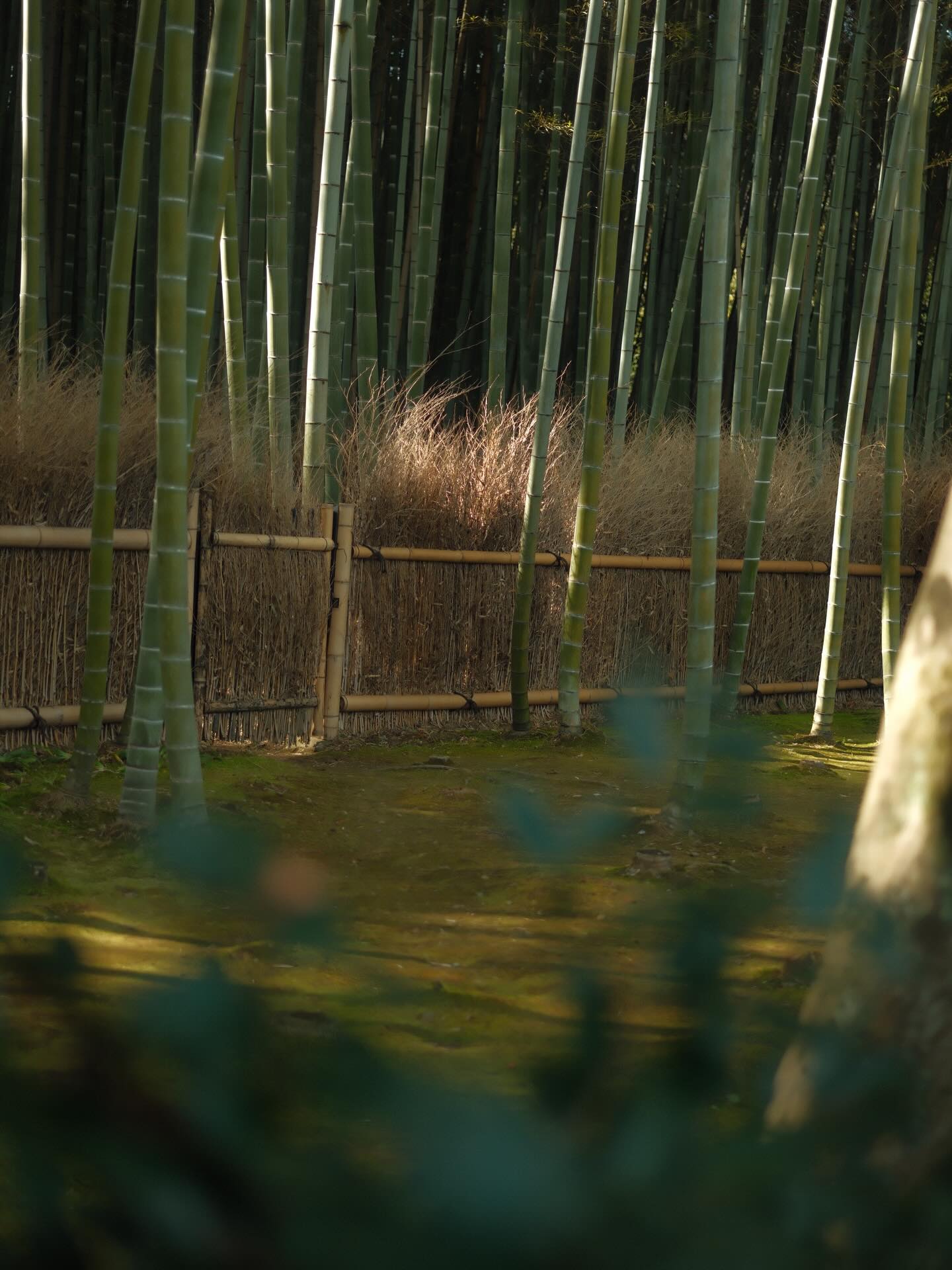 เป้ย - ปานวาด เหมมณี