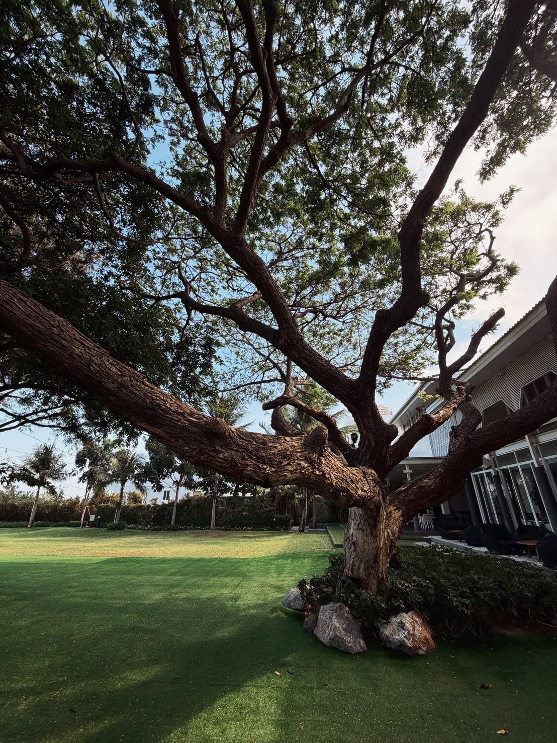 เป้ย - ปานวาด เหมมณี