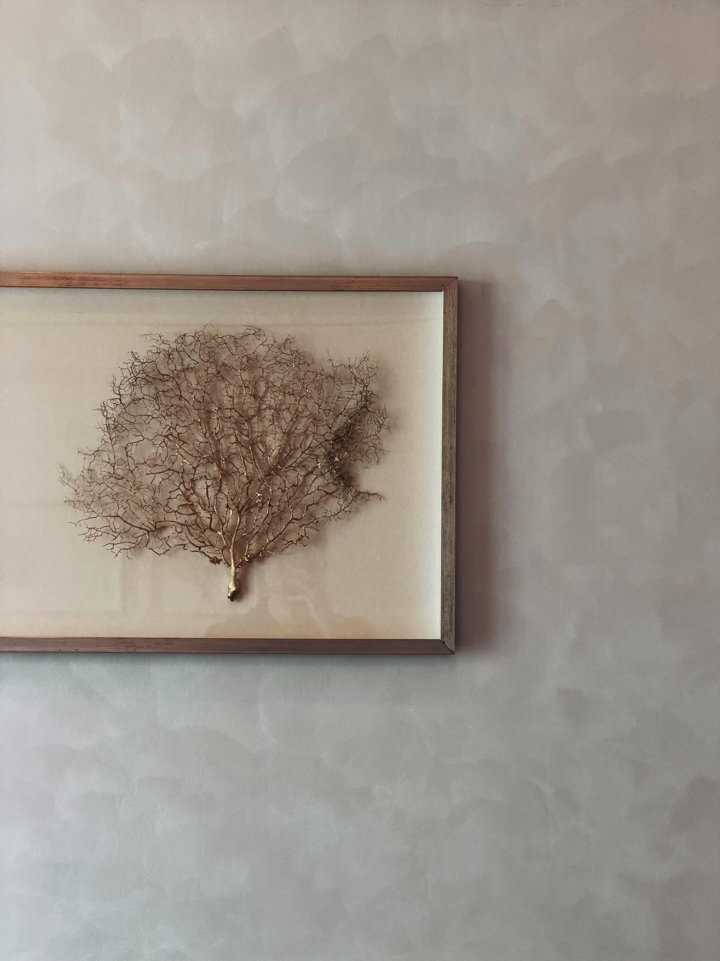 เป้ย - ปานวาด เหมมณี