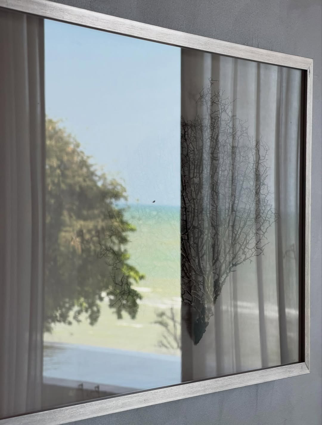 เป้ย - ปานวาด เหมมณี