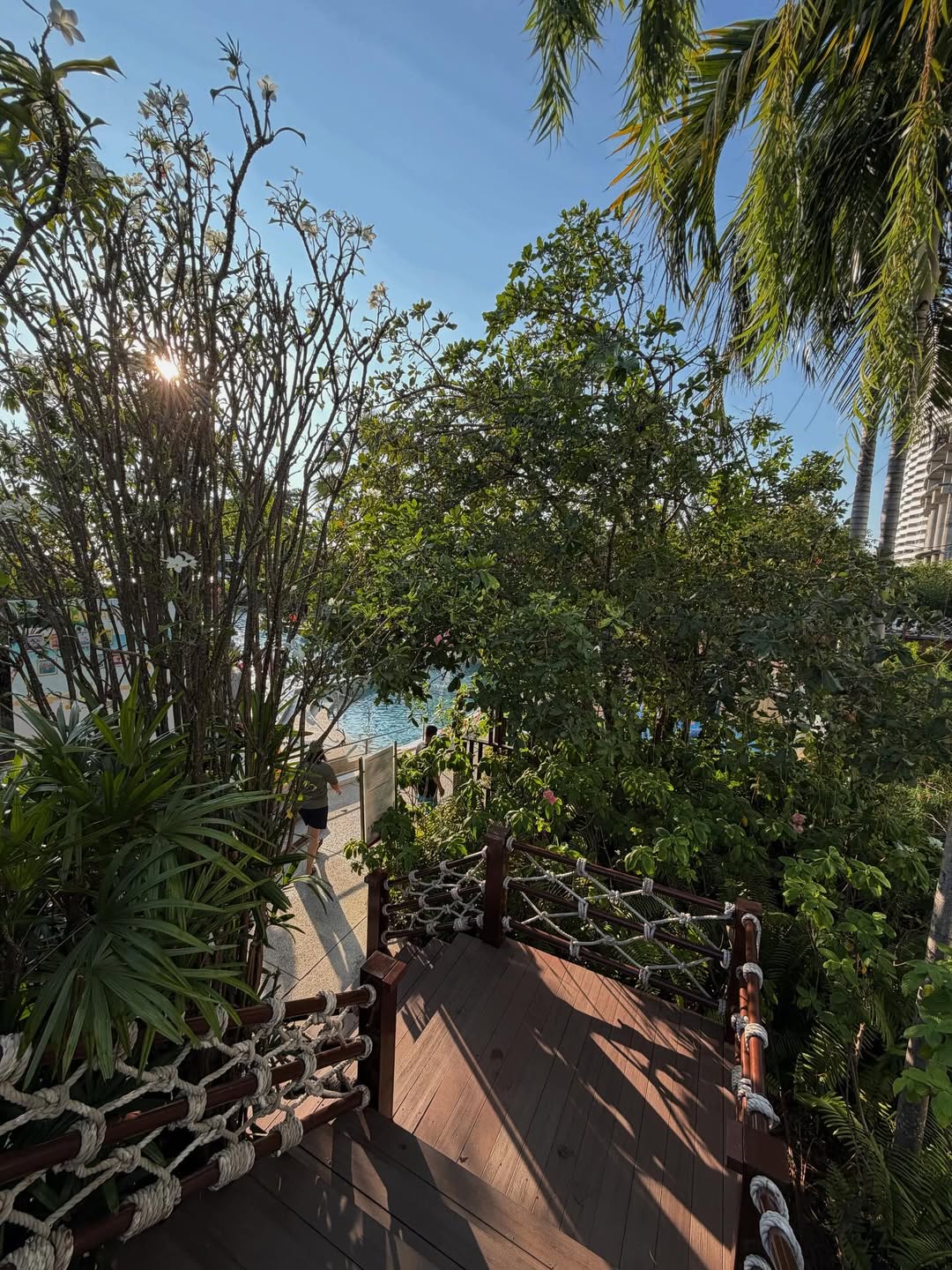 เป้ย - ปานวาด เหมมณี