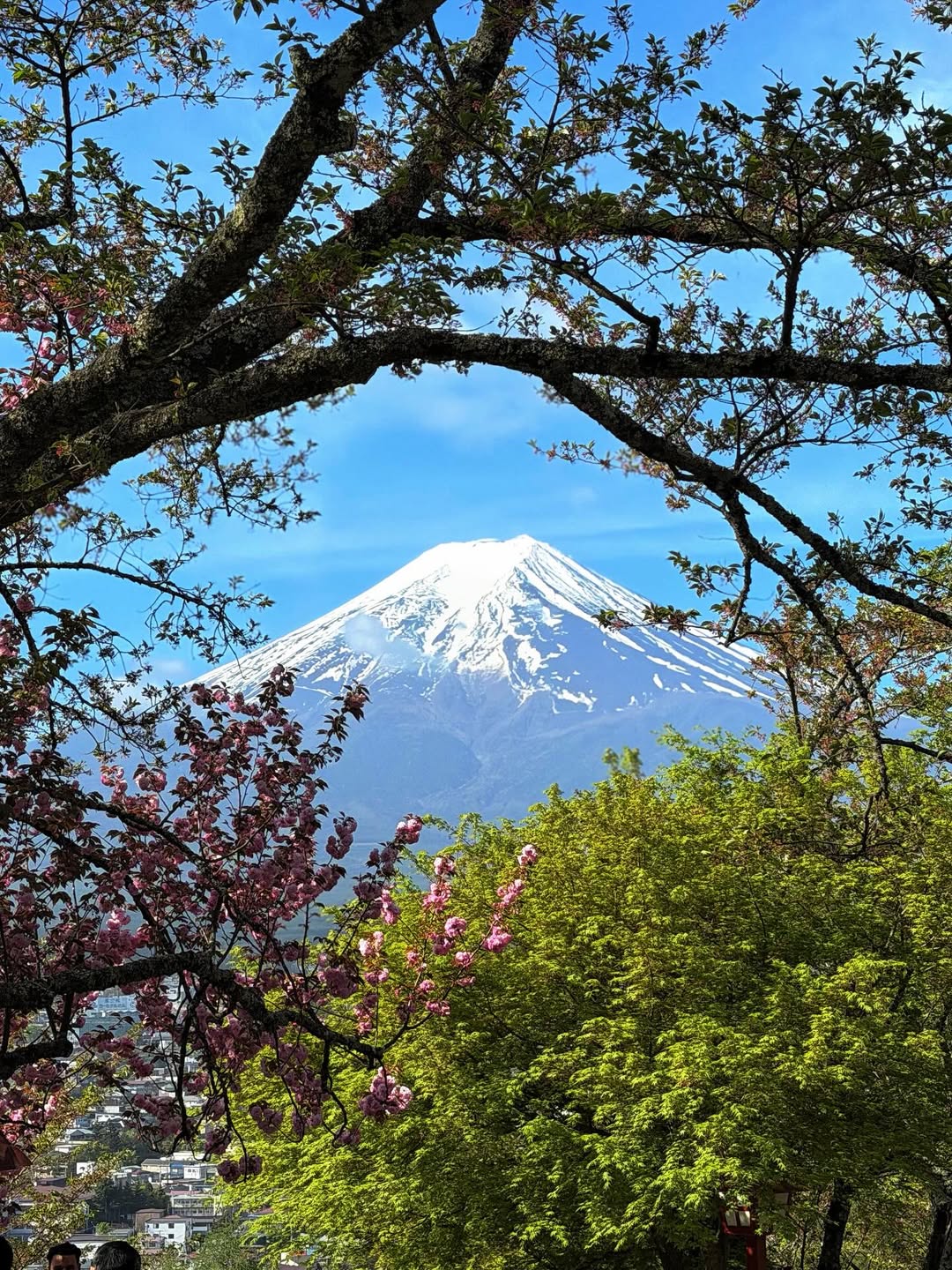 เป้ย - ปานวาด เหมมณี