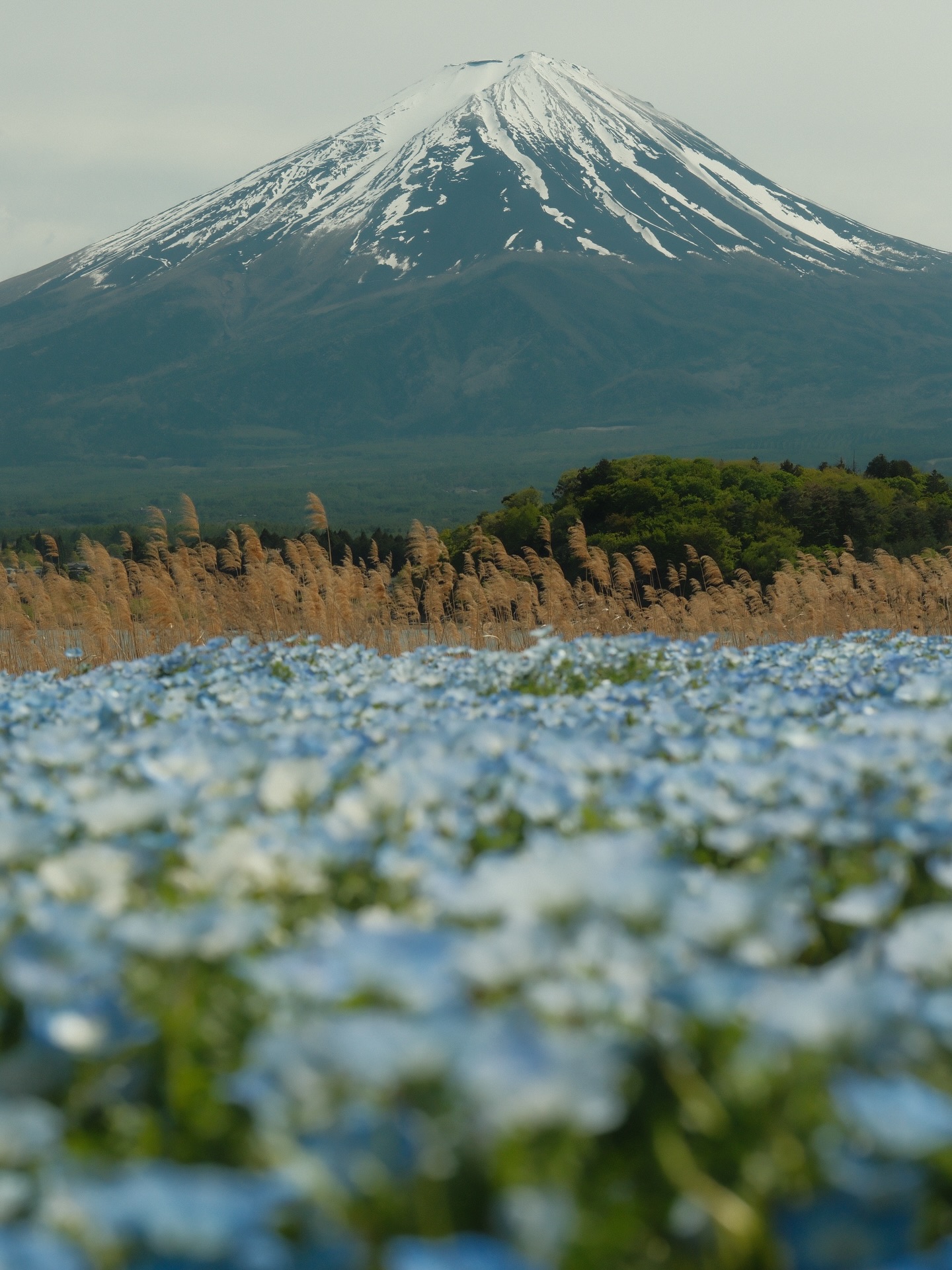 เป้ย - ปานวาด เหมมณี