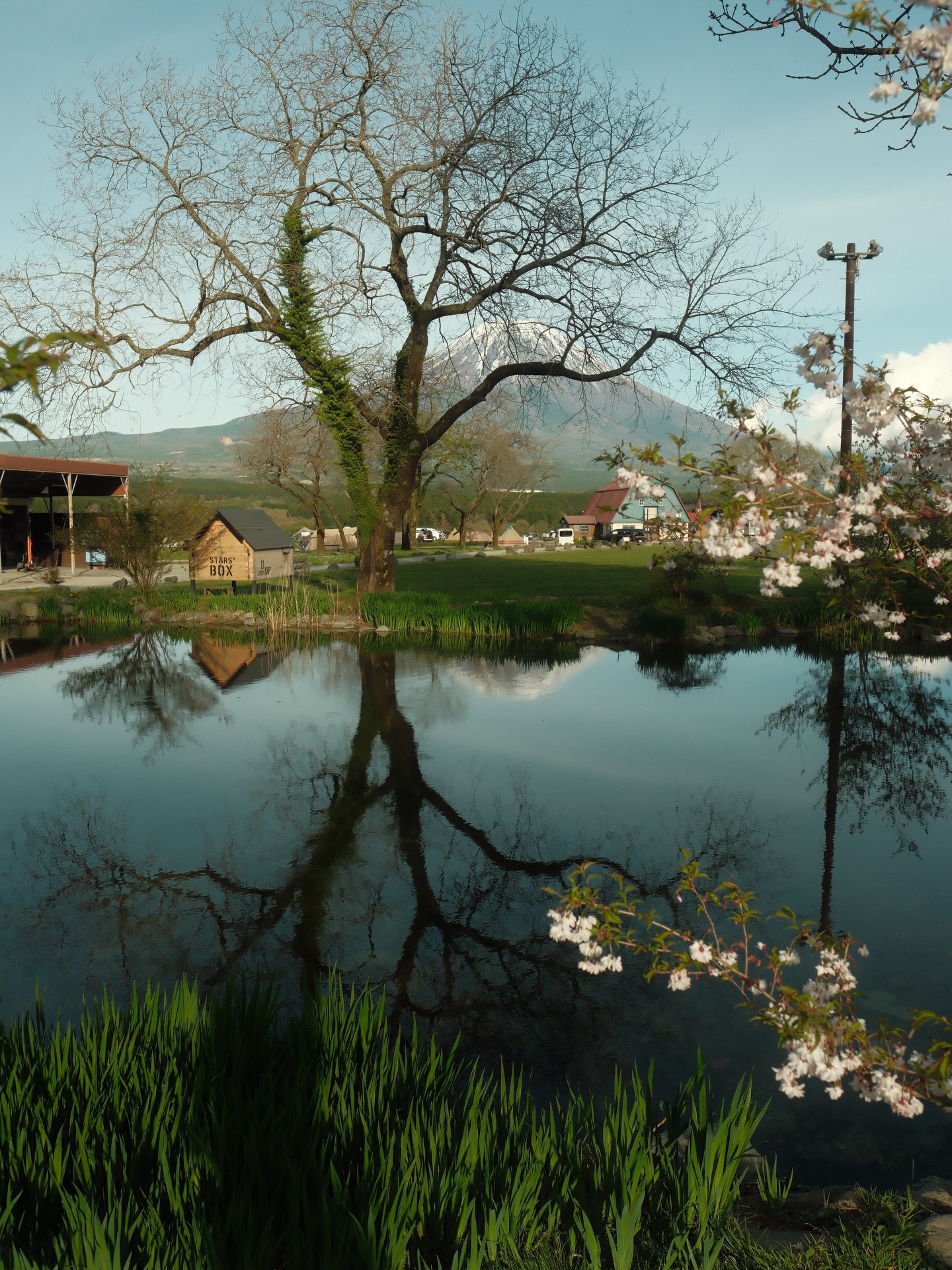 เป้ย - ปานวาด เหมมณี