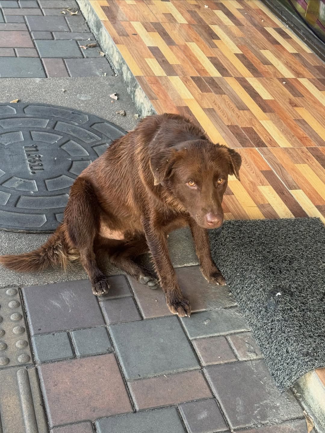 ต้นน้ำ - เปี่ยมชล ดำรงสุนทรชัย