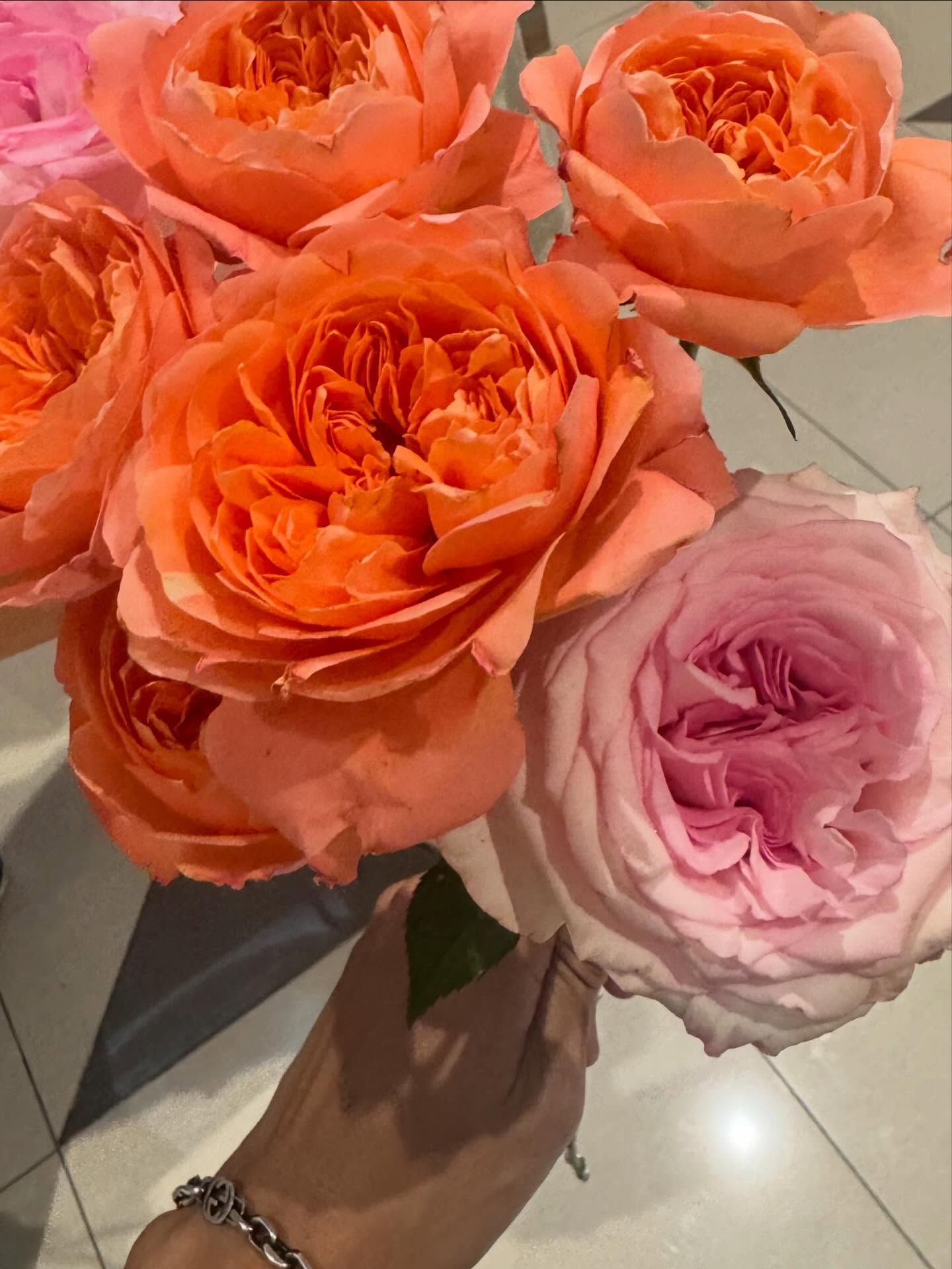 ต้นน้ำ - เปี่ยมชล ดำรงสุนทรชัย