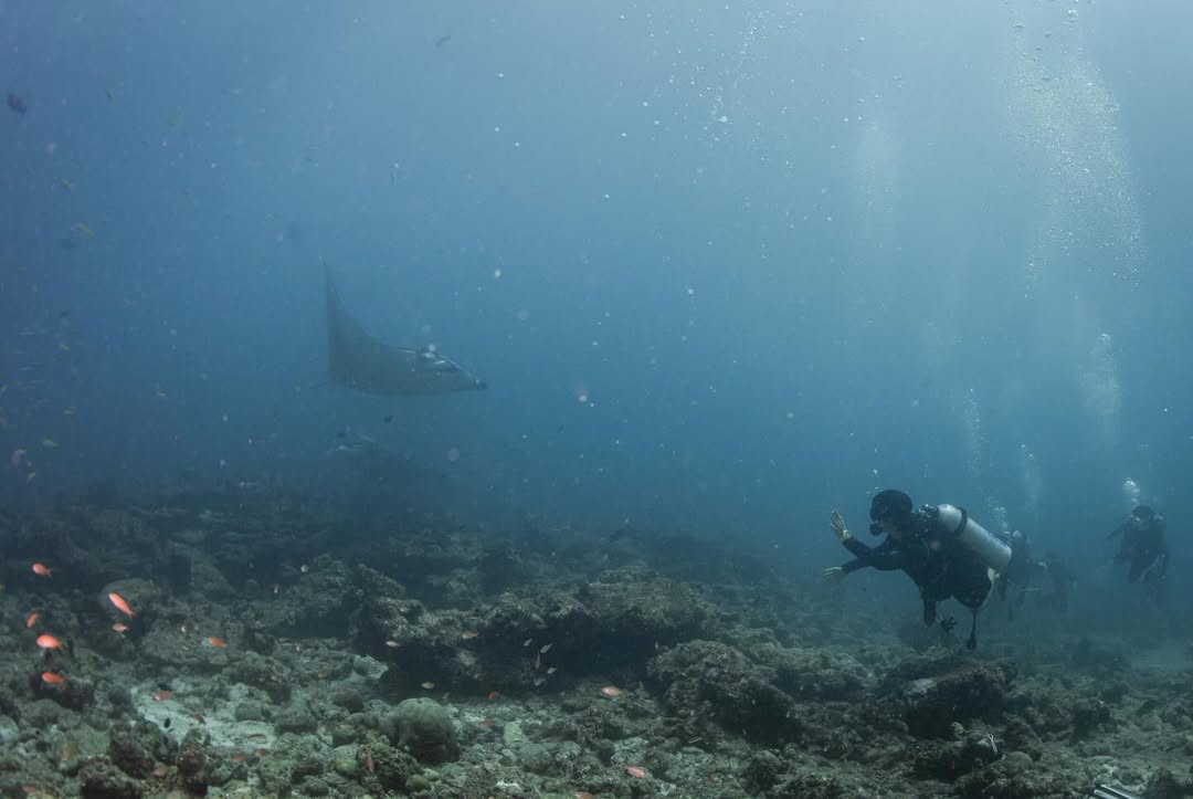 ต้นน้ำ - เปี่ยมชล ดำรงสุนทรชัย