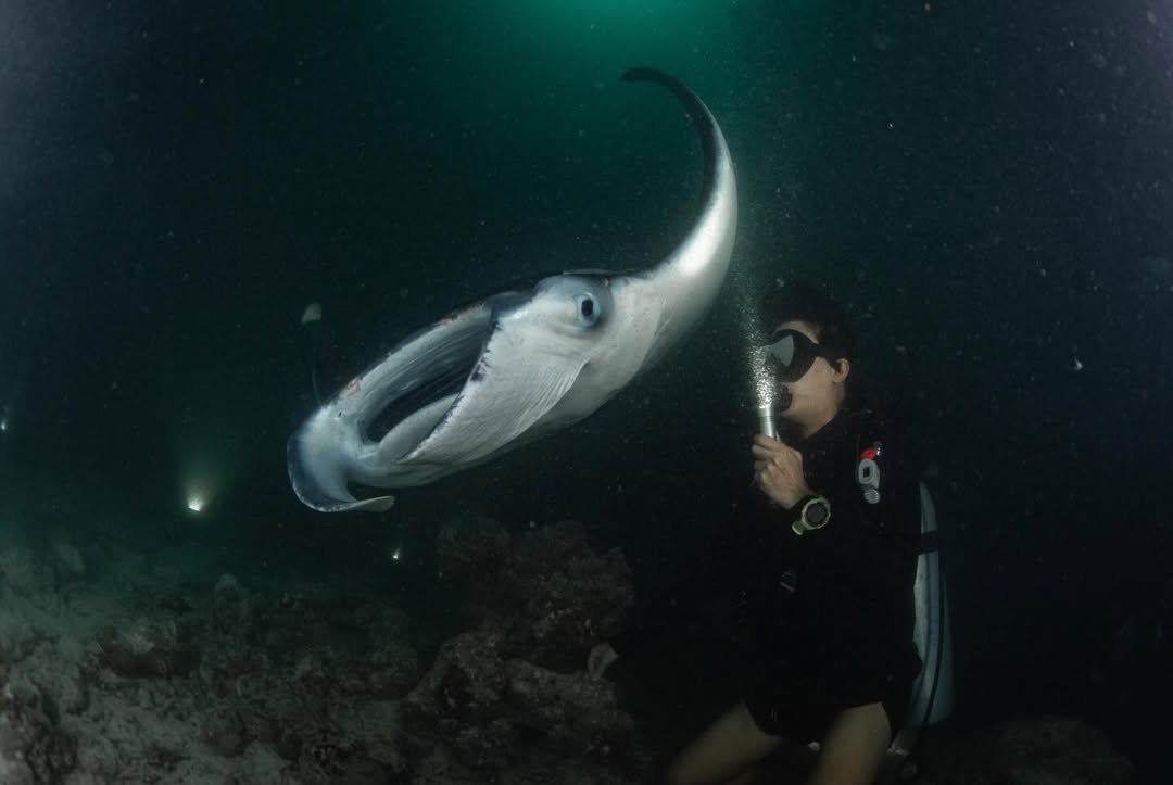 ต้นน้ำ - เปี่ยมชล ดำรงสุนทรชัย