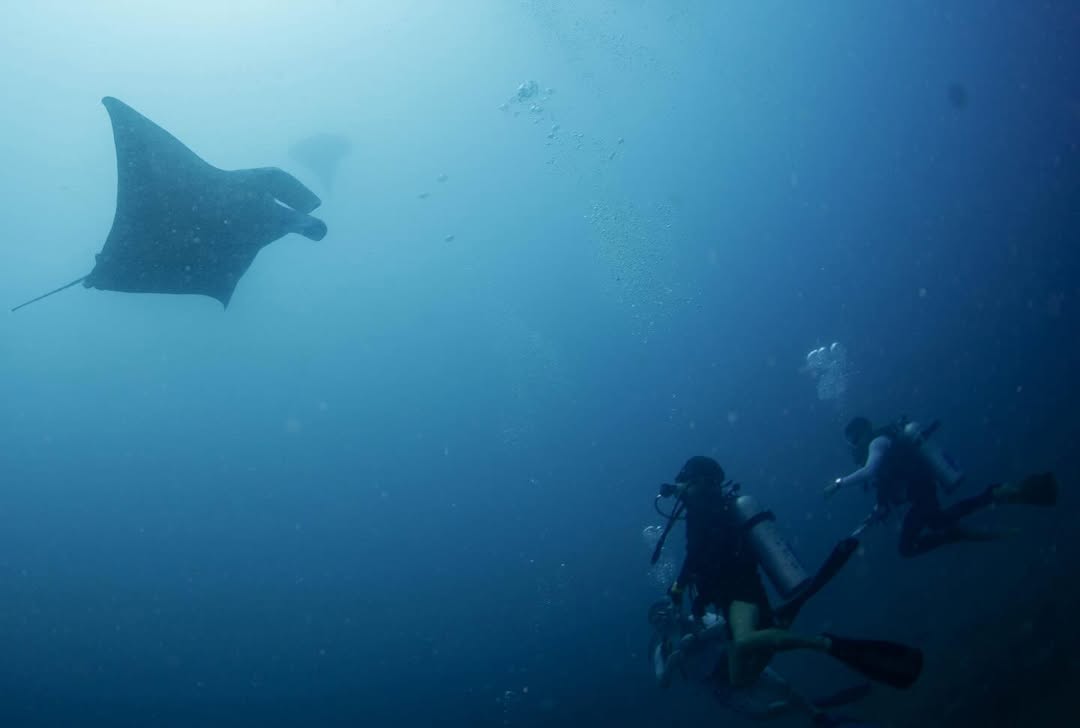 ต้นน้ำ - เปี่ยมชล ดำรงสุนทรชัย