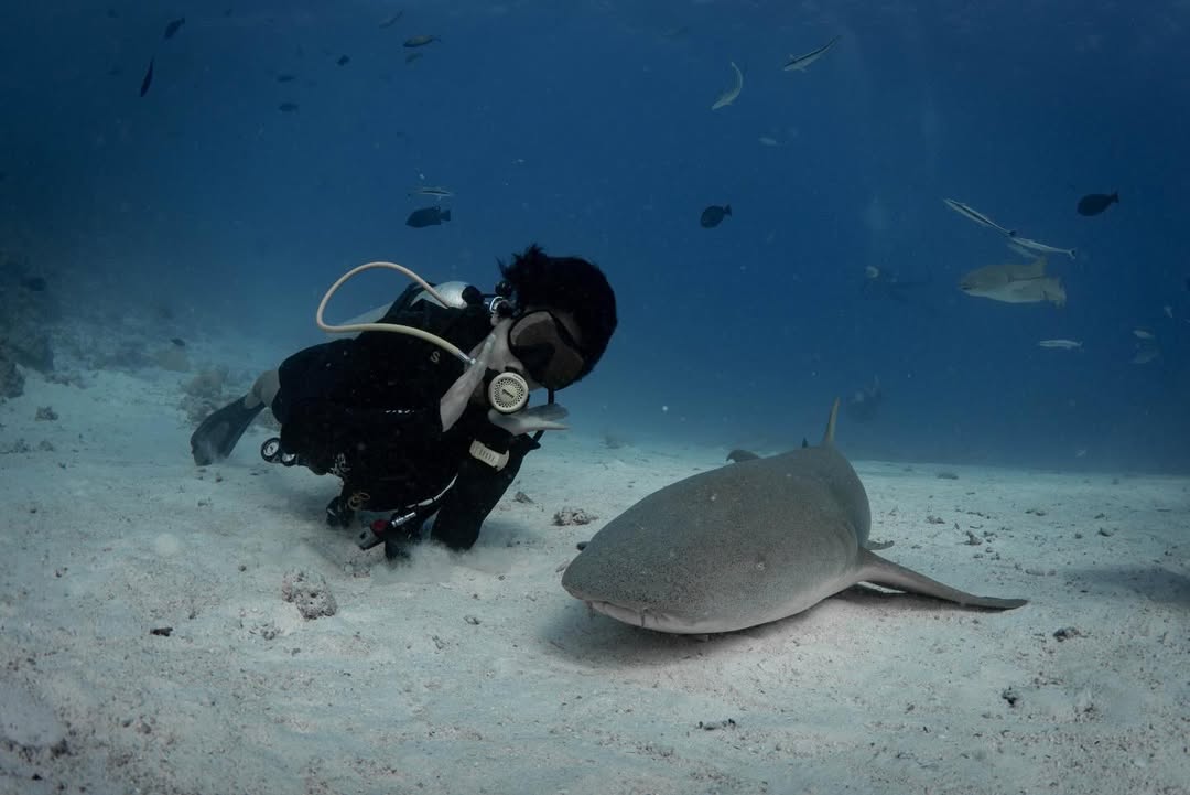 ต้นน้ำ - เปี่ยมชล ดำรงสุนทรชัย