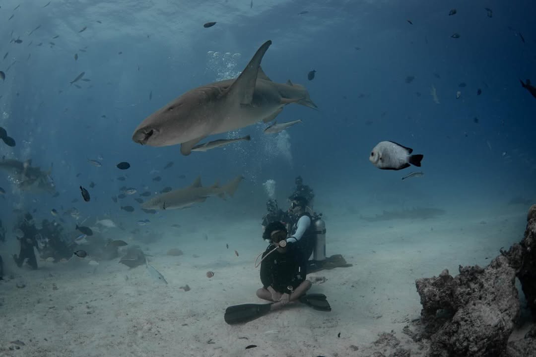 ต้นน้ำ - เปี่ยมชล ดำรงสุนทรชัย
