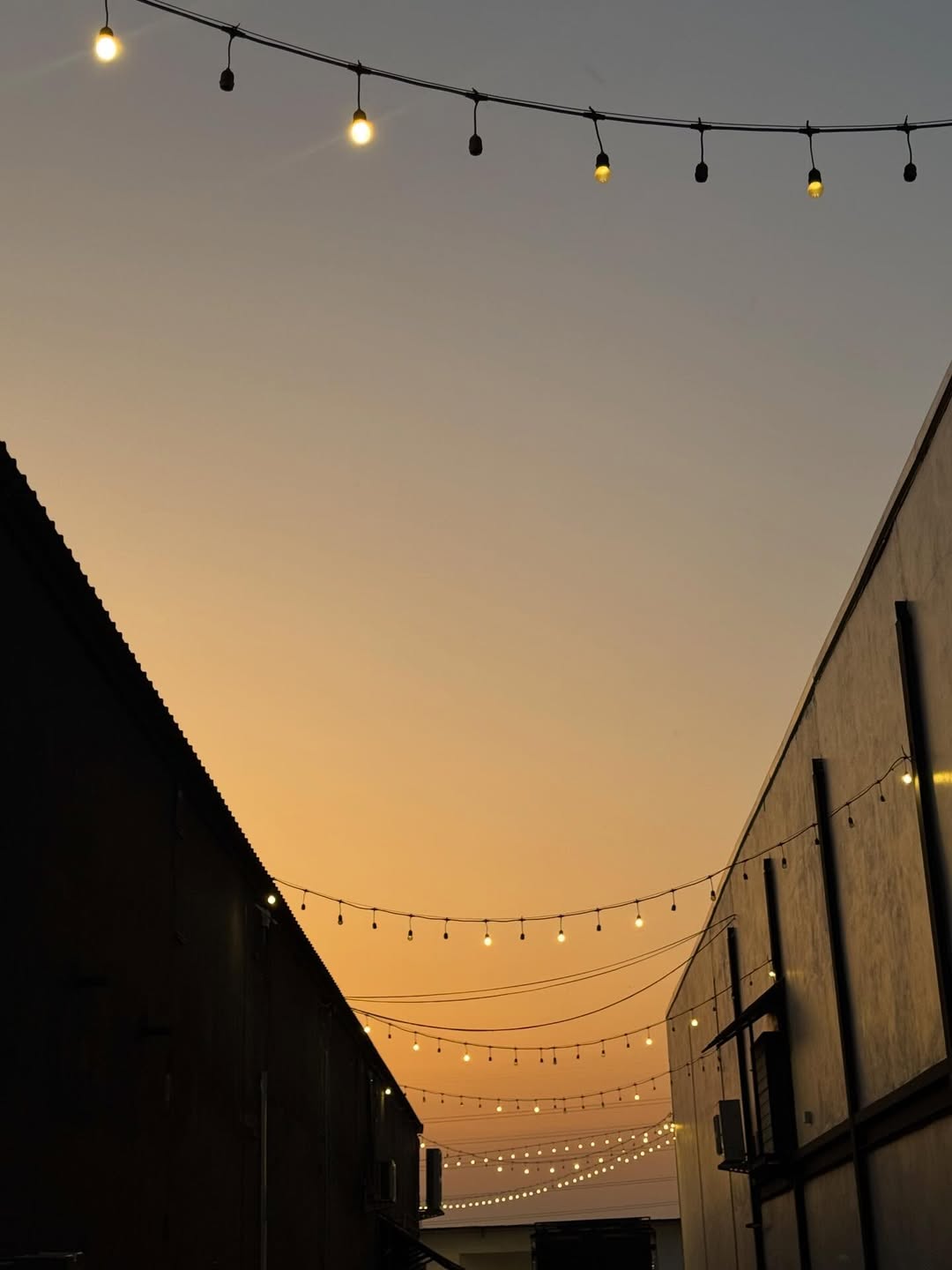 อแมนด้า ชาลิสา ออบดัม 