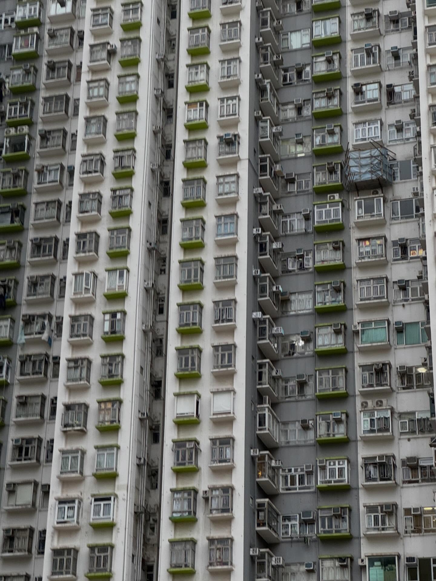 อแมนด้า ชาลิสา ออบดัม 