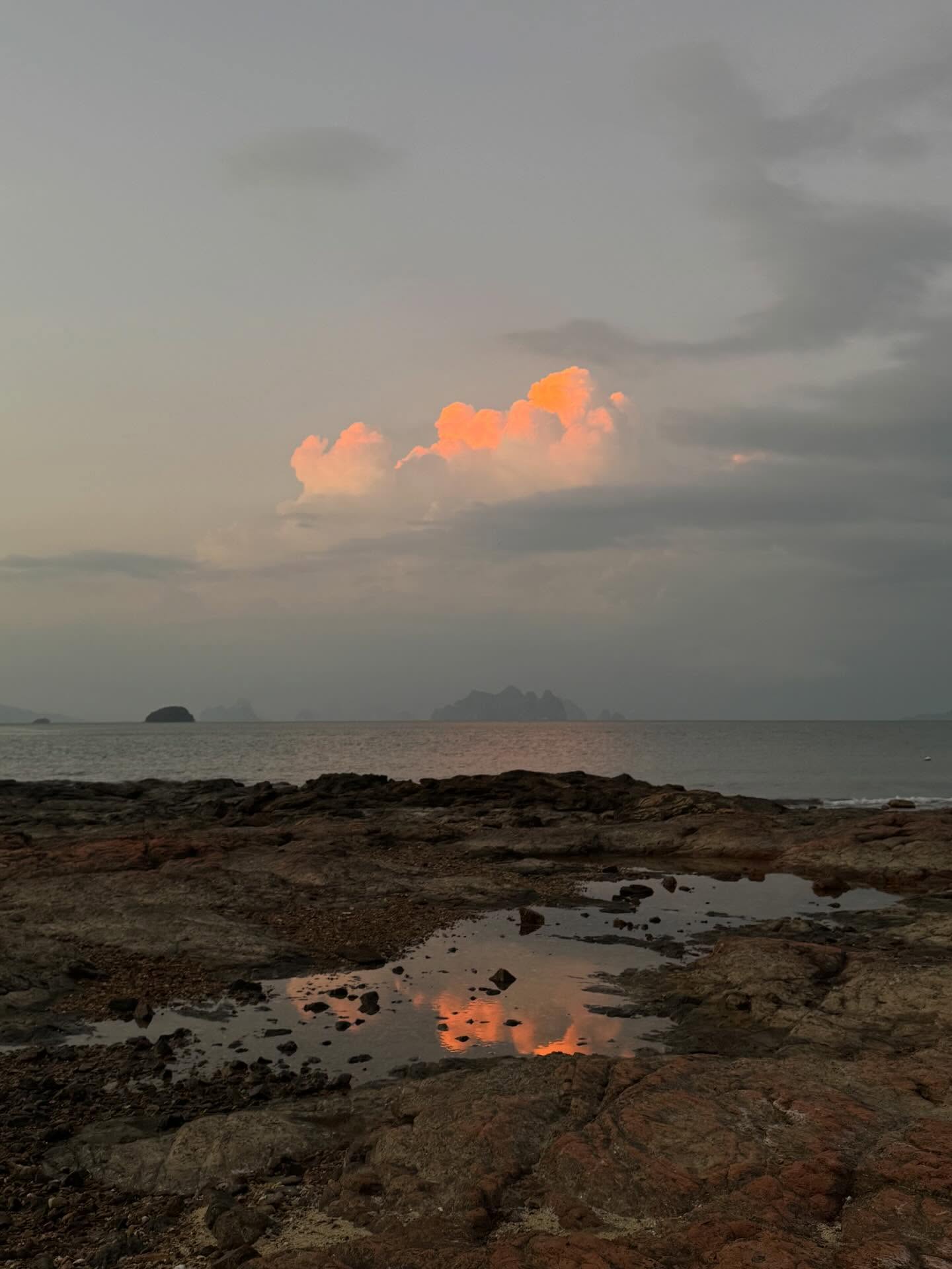 อแมนด้า ชาลิสา ออบดัม 