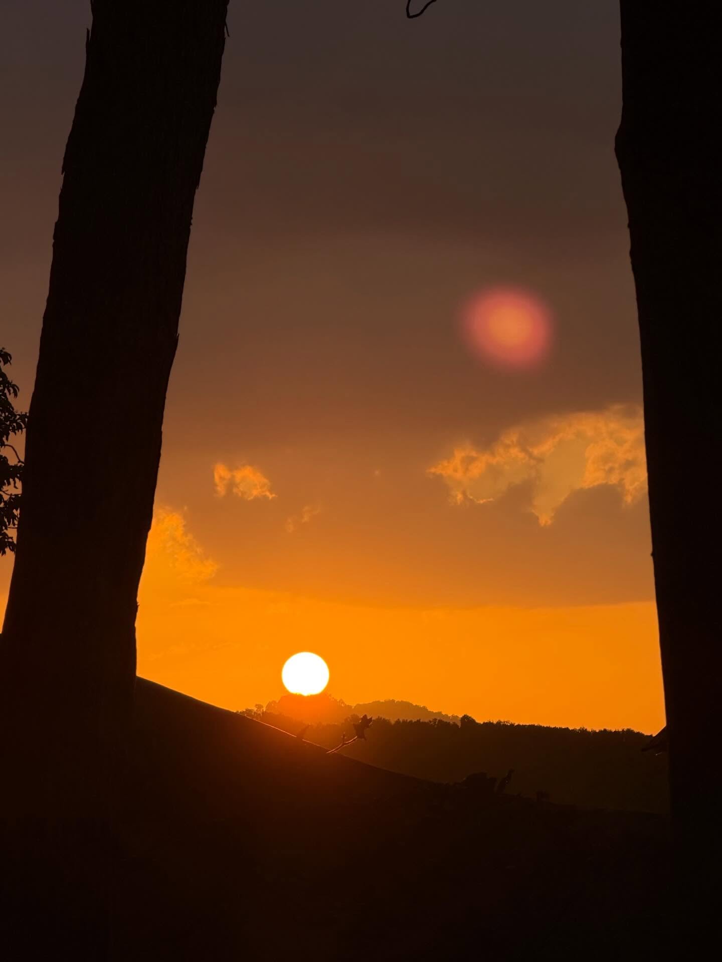 อแมนด้า ชาลิสา ออบดัม 