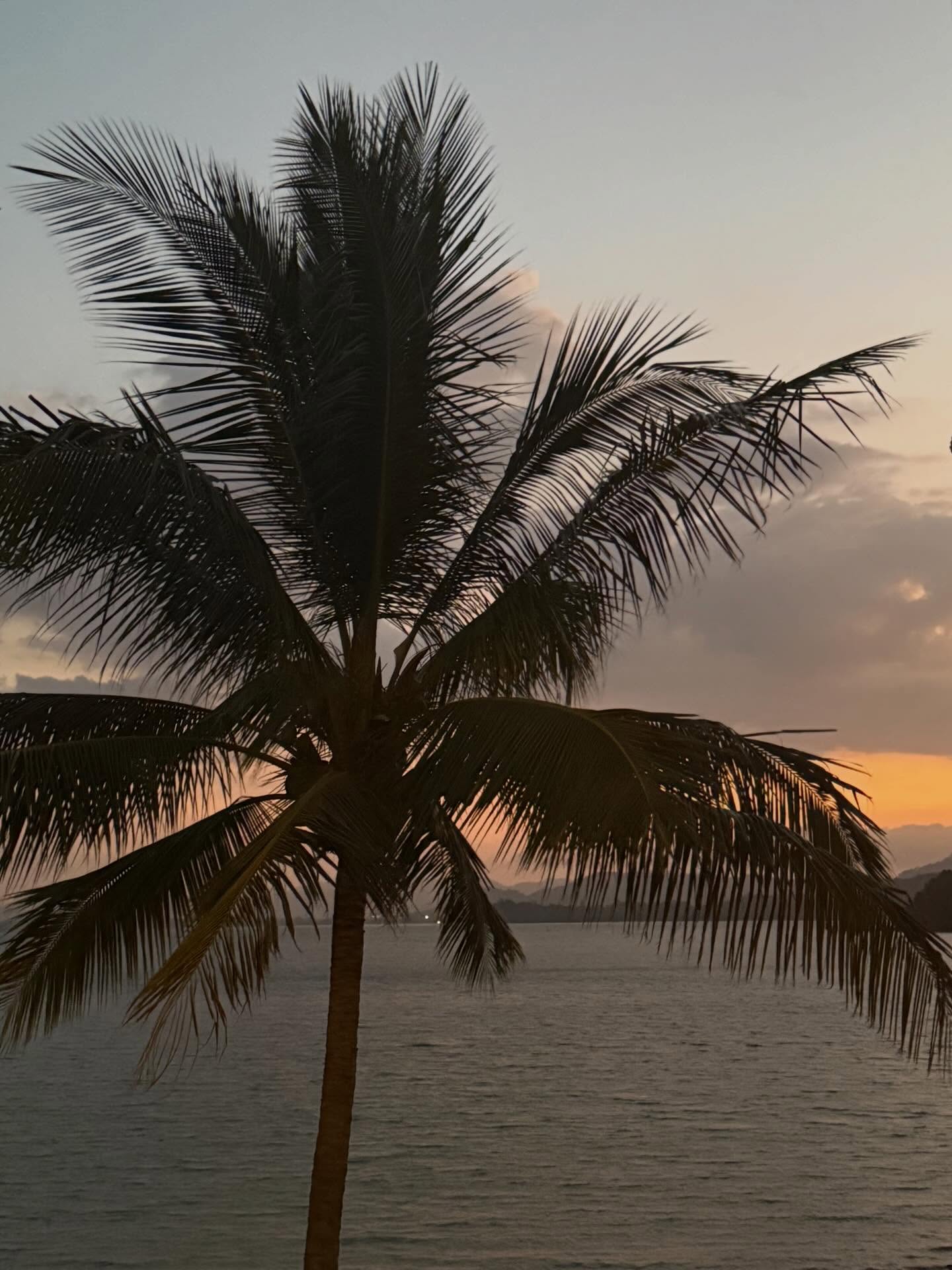 อแมนด้า ชาลิสา ออบดัม 