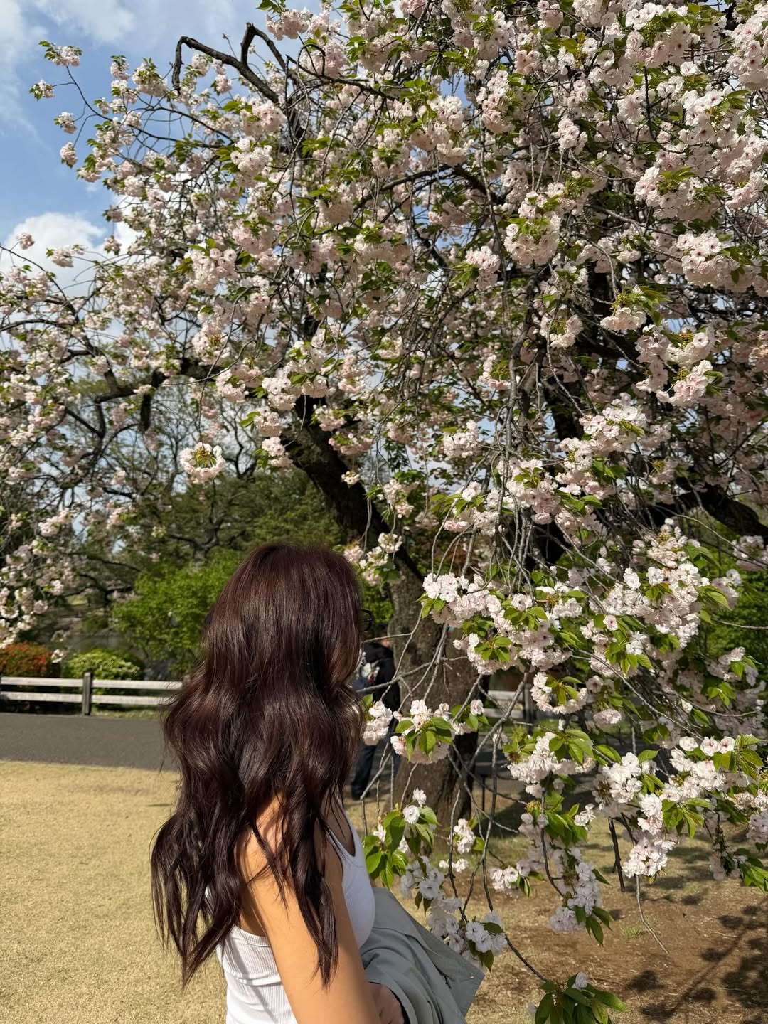 อแมนด้า ชาลิสา ออบดัม 