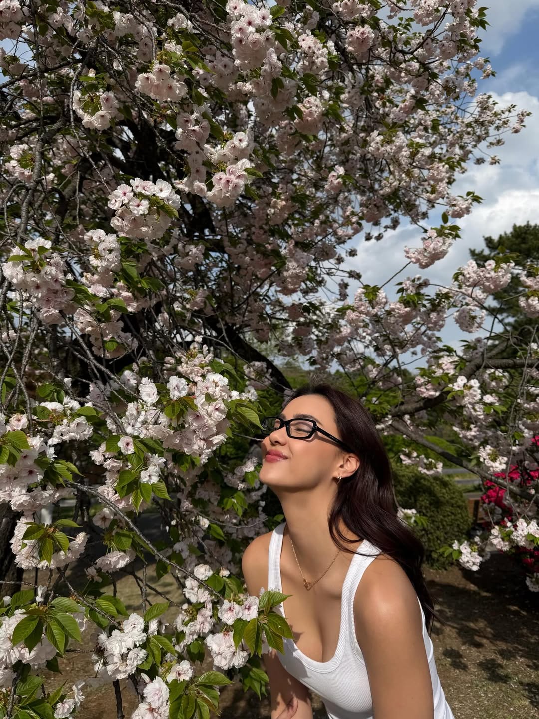 อแมนด้า ชาลิสา ออบดัม 