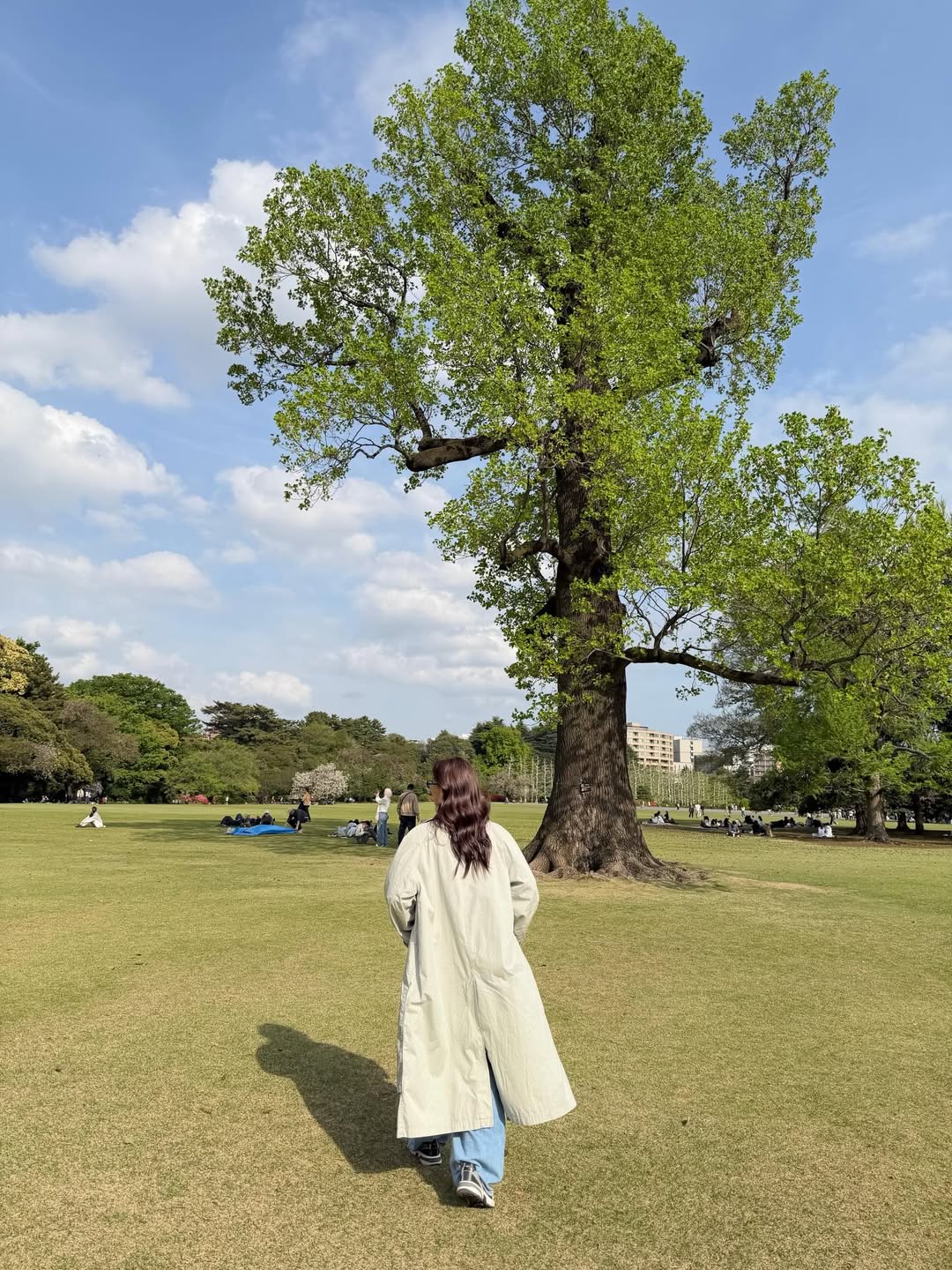 อแมนด้า ชาลิสา ออบดัม 