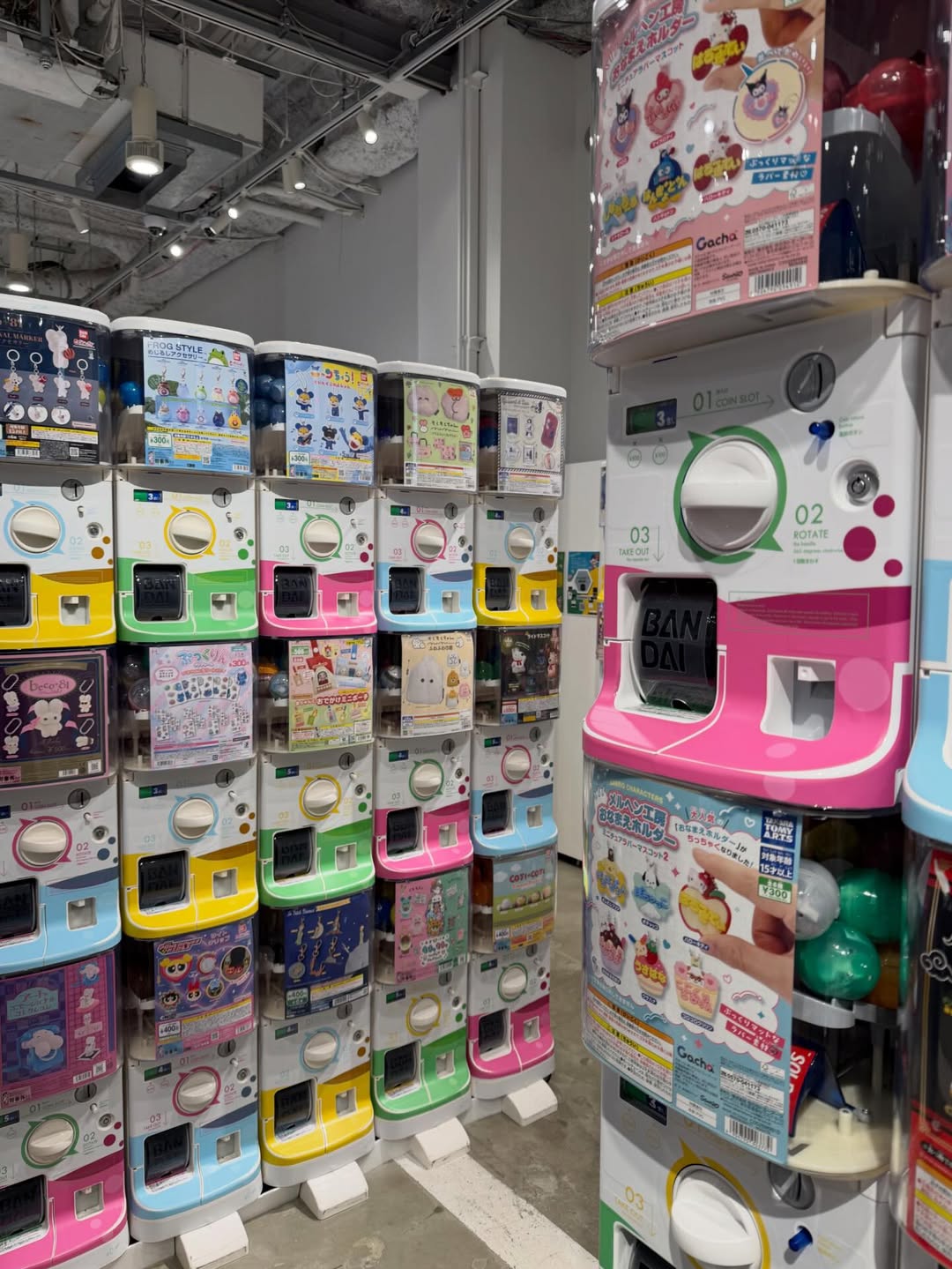 อแมนด้า ชาลิสา ออบดัม 