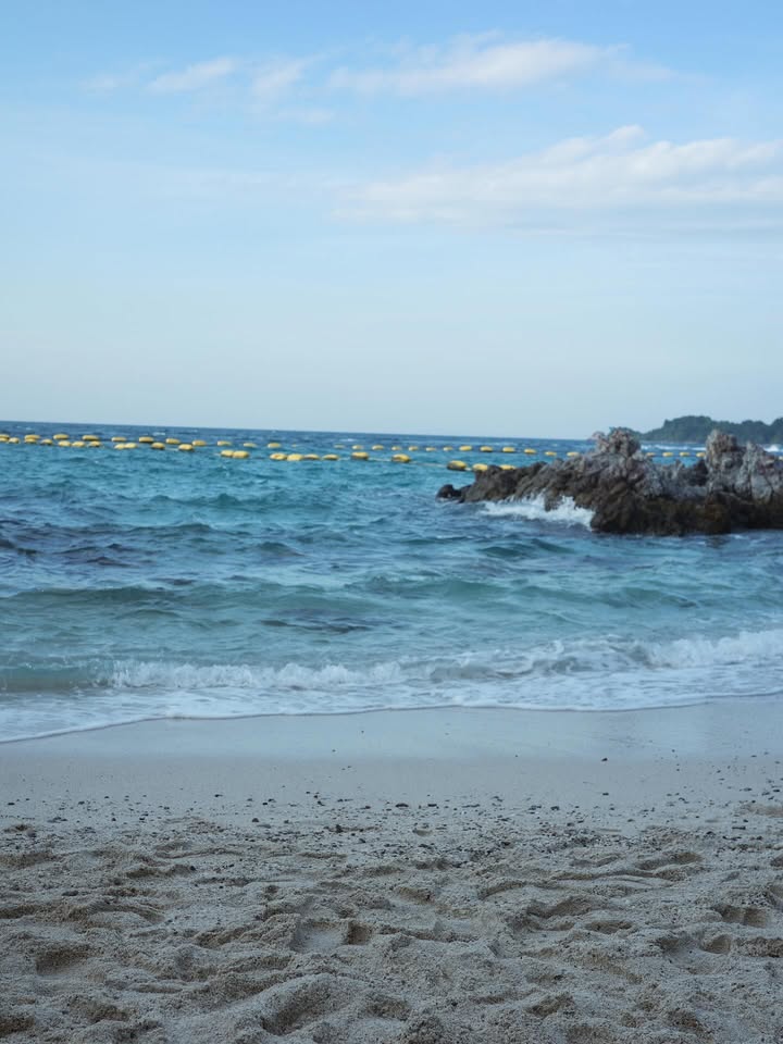 ไอซ์ - ปรีชญา พงษ์ธนานิกร