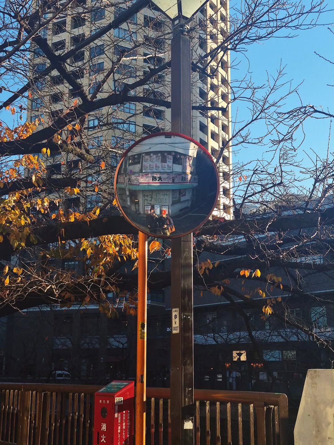 มาร์ค - จิรันธนิน ตรัยรัตนยนต์