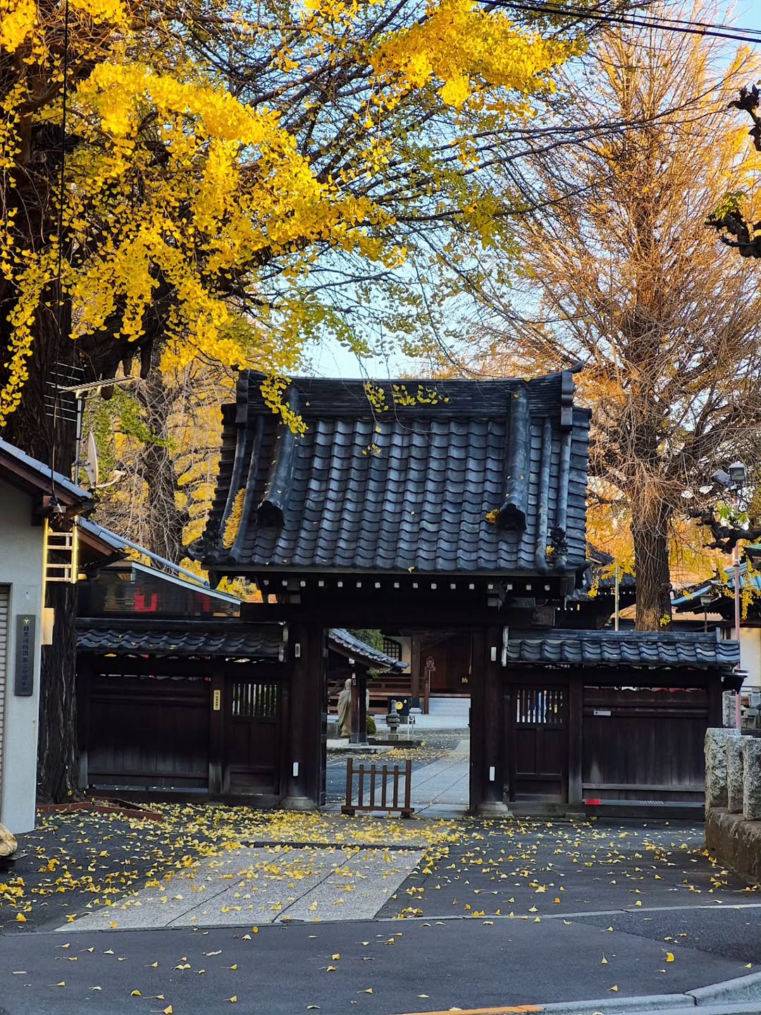 มาร์ค - จิรันธนิน ตรัยรัตนยนต์