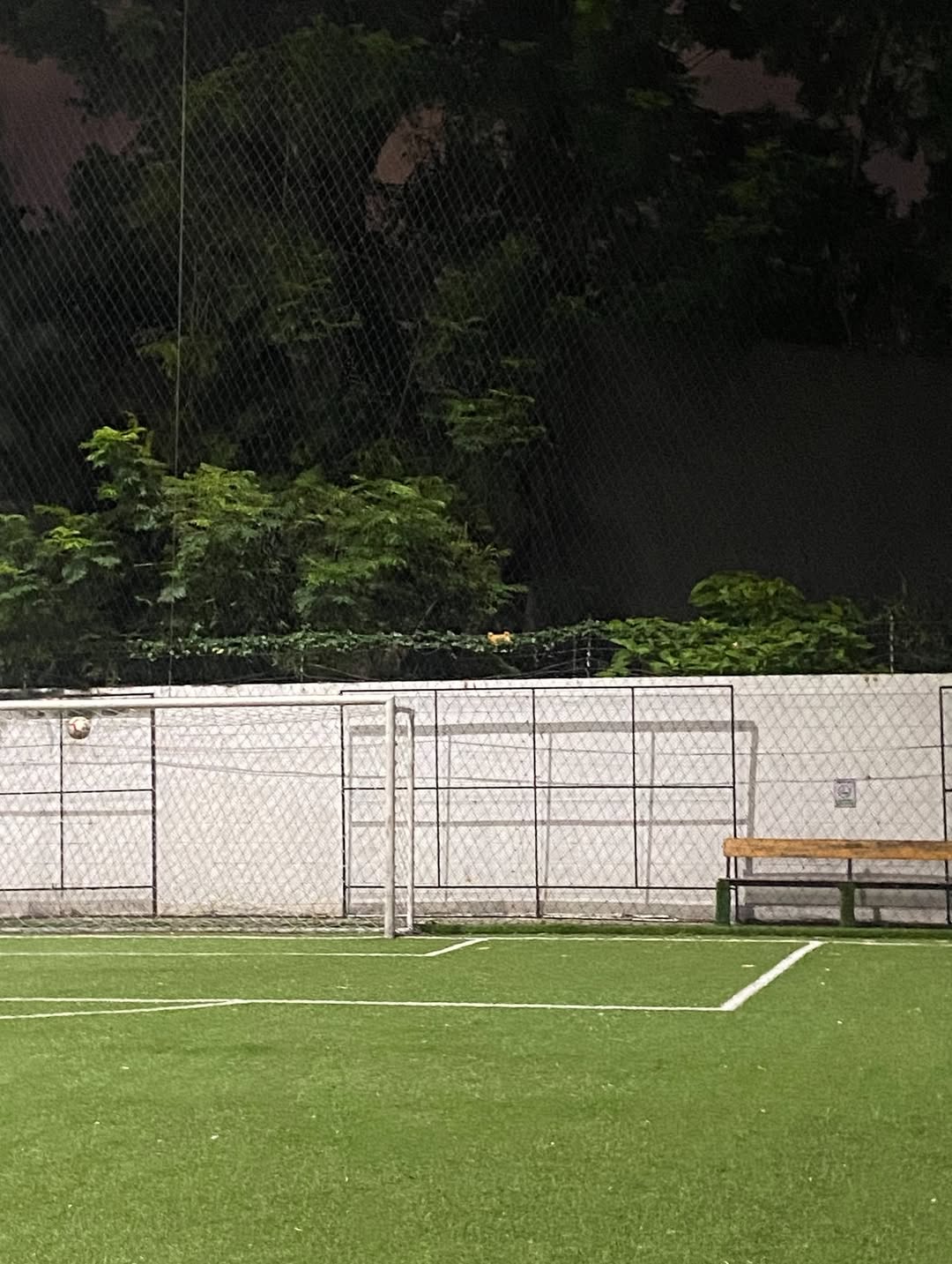 ฟลุท - ชินพรรธน์ กิตติชัยวรางค์กูร