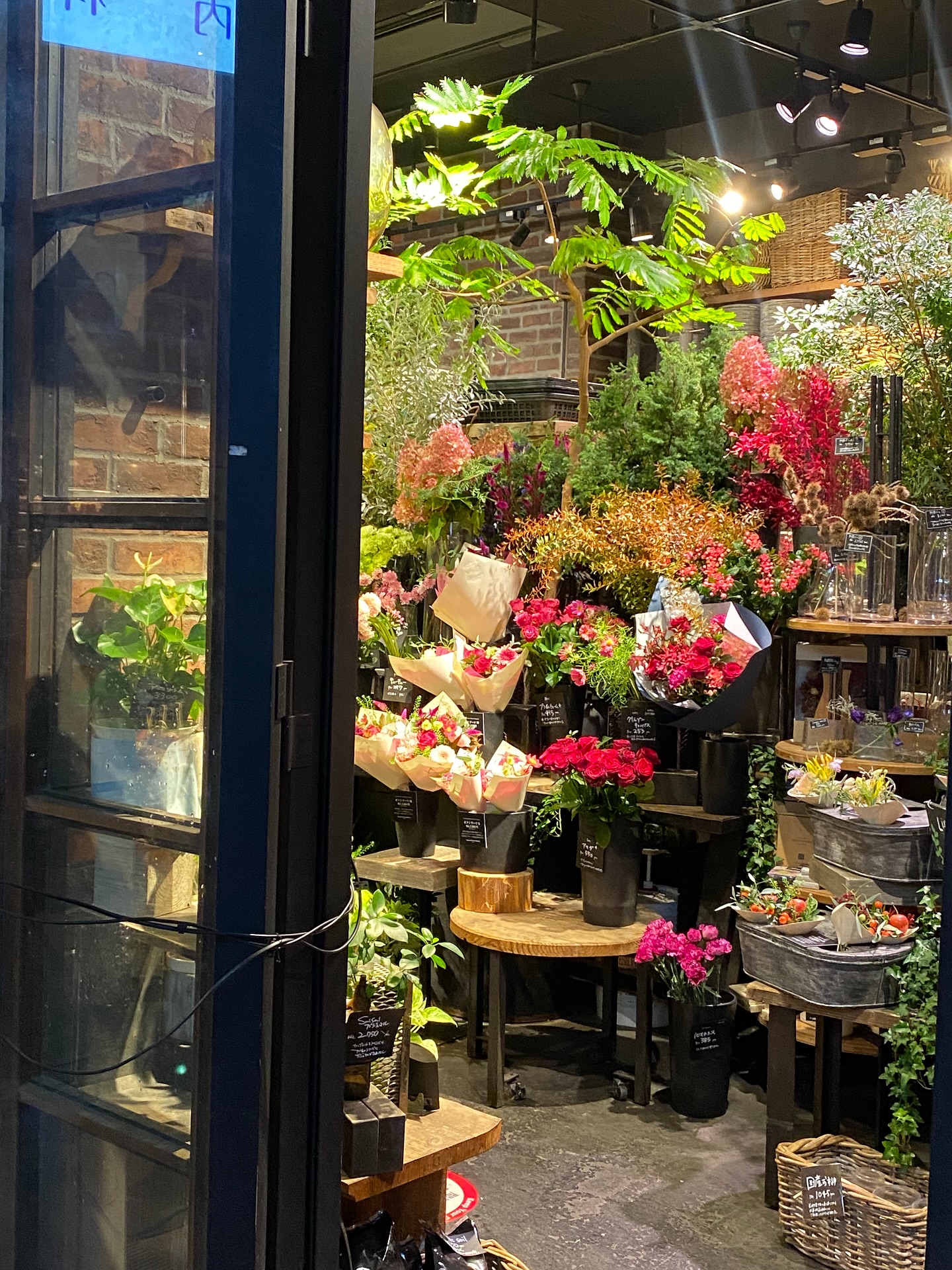 ฟลุท - ชินพรรธน์ กิตติชัยวรางค์กูร