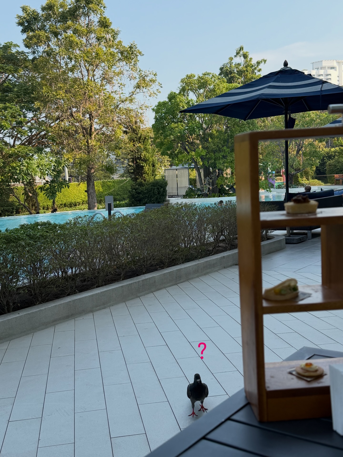 ฟลุท - ชินพรรธน์ กิตติชัยวรางค์กูร