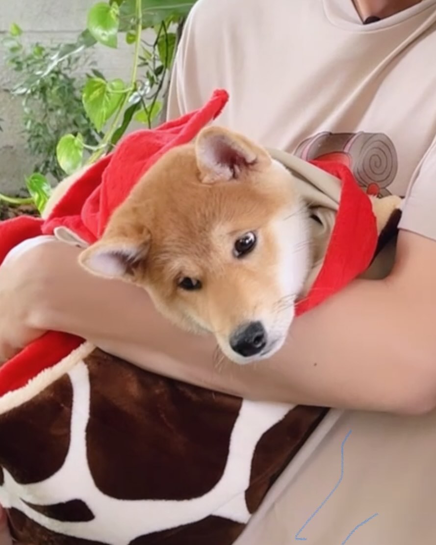 หยิ่น - อานันท์ ว่อง