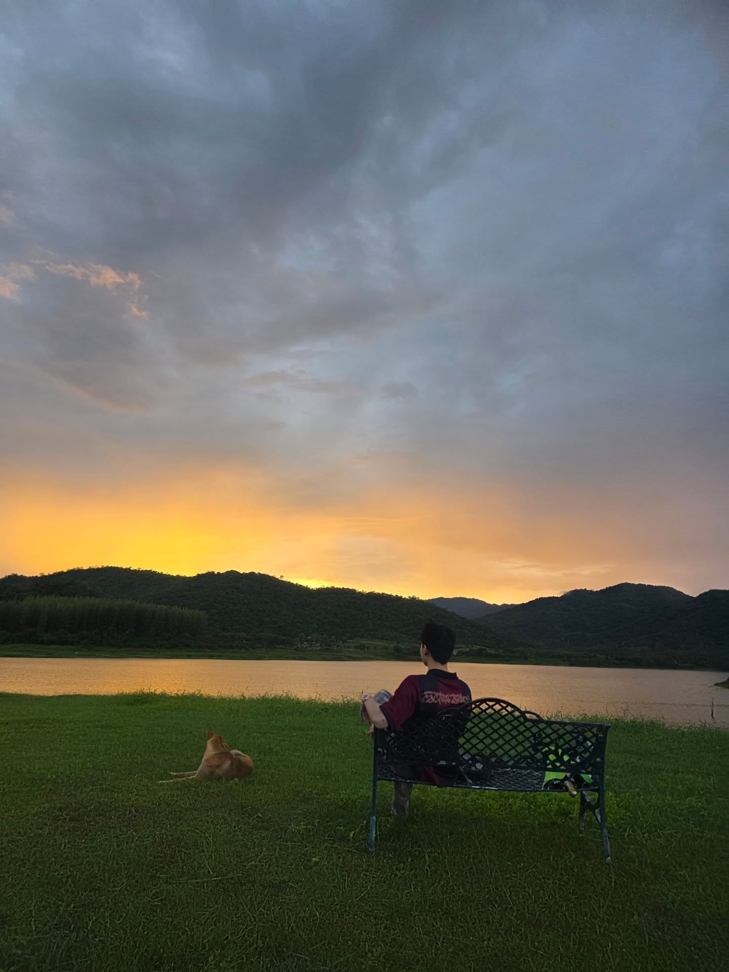 หยิ่น - อานันท์ ว่อง