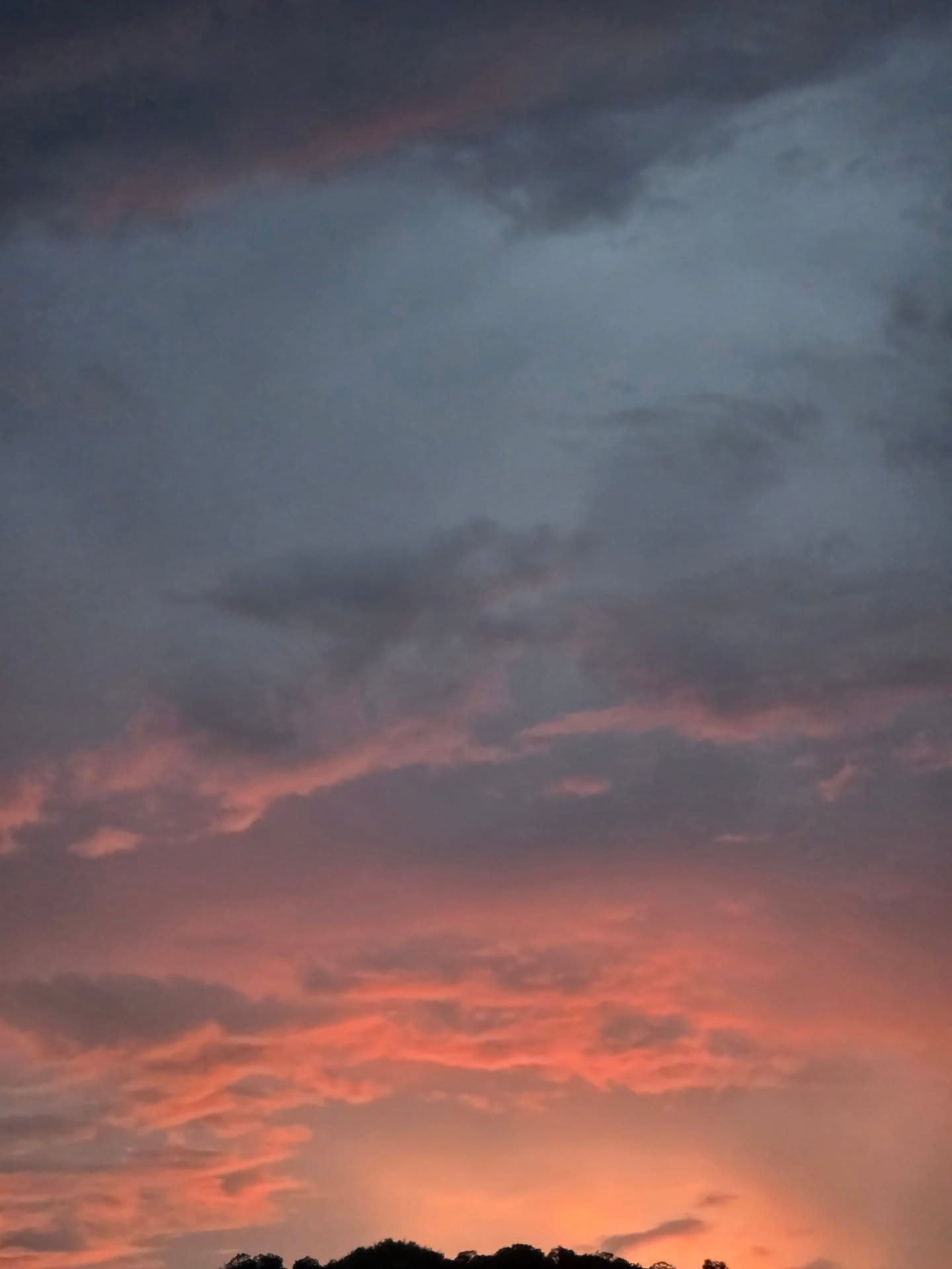 หยิ่น - อานันท์ ว่อง