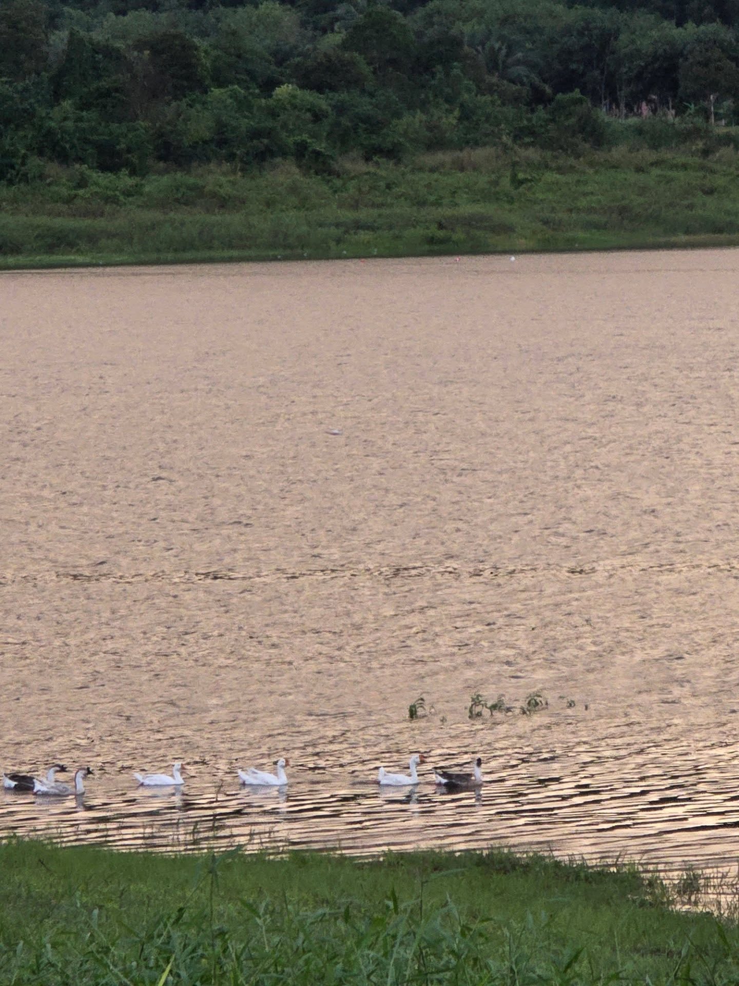 หยิ่น - อานันท์ ว่อง