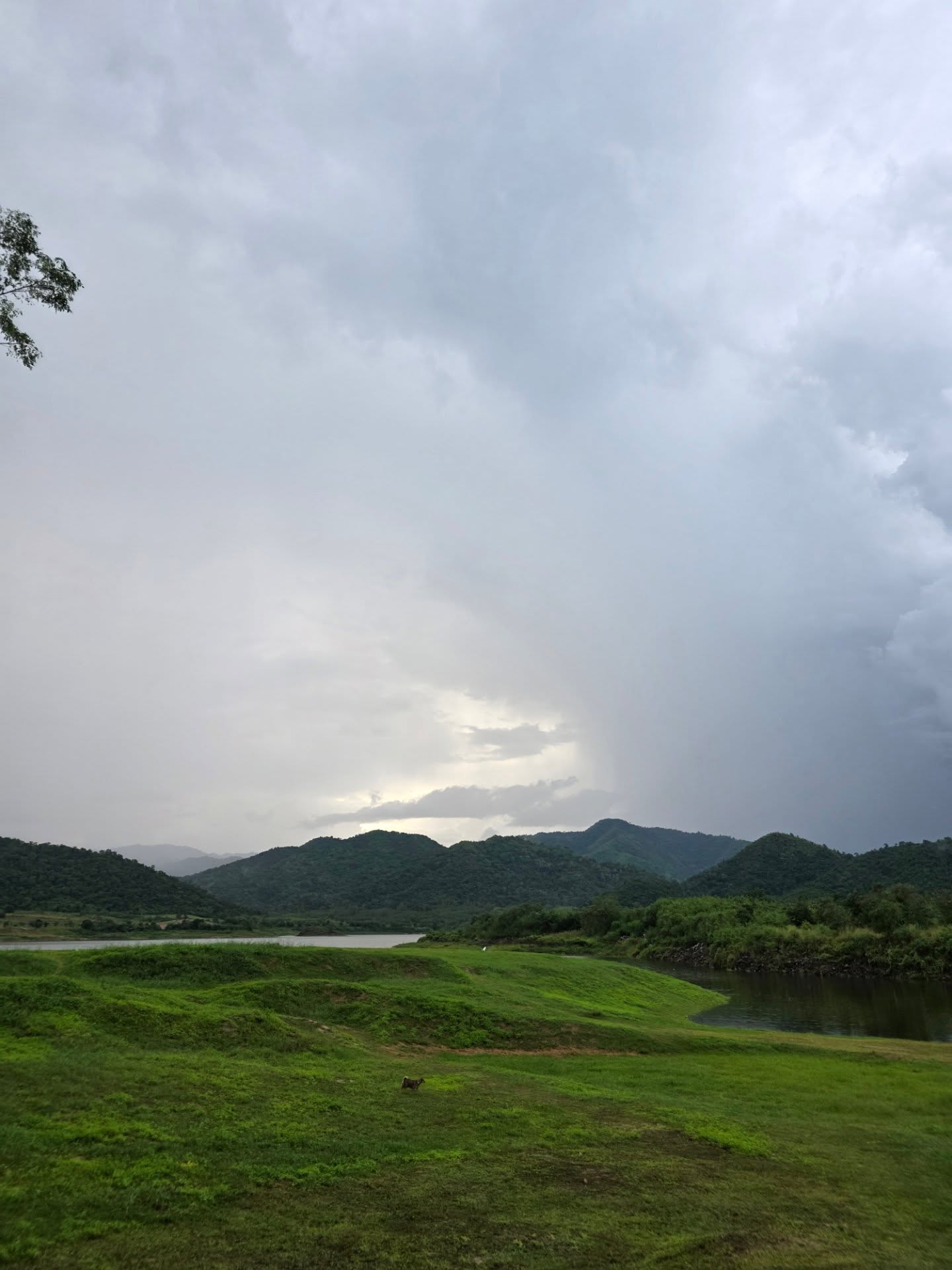 หยิ่น - อานันท์ ว่อง