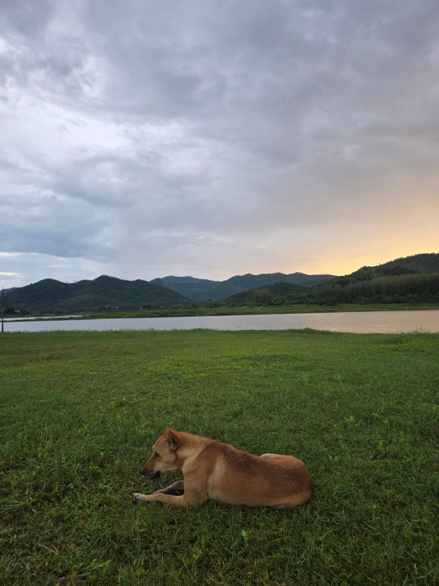 หยิ่น - อานันท์ ว่อง