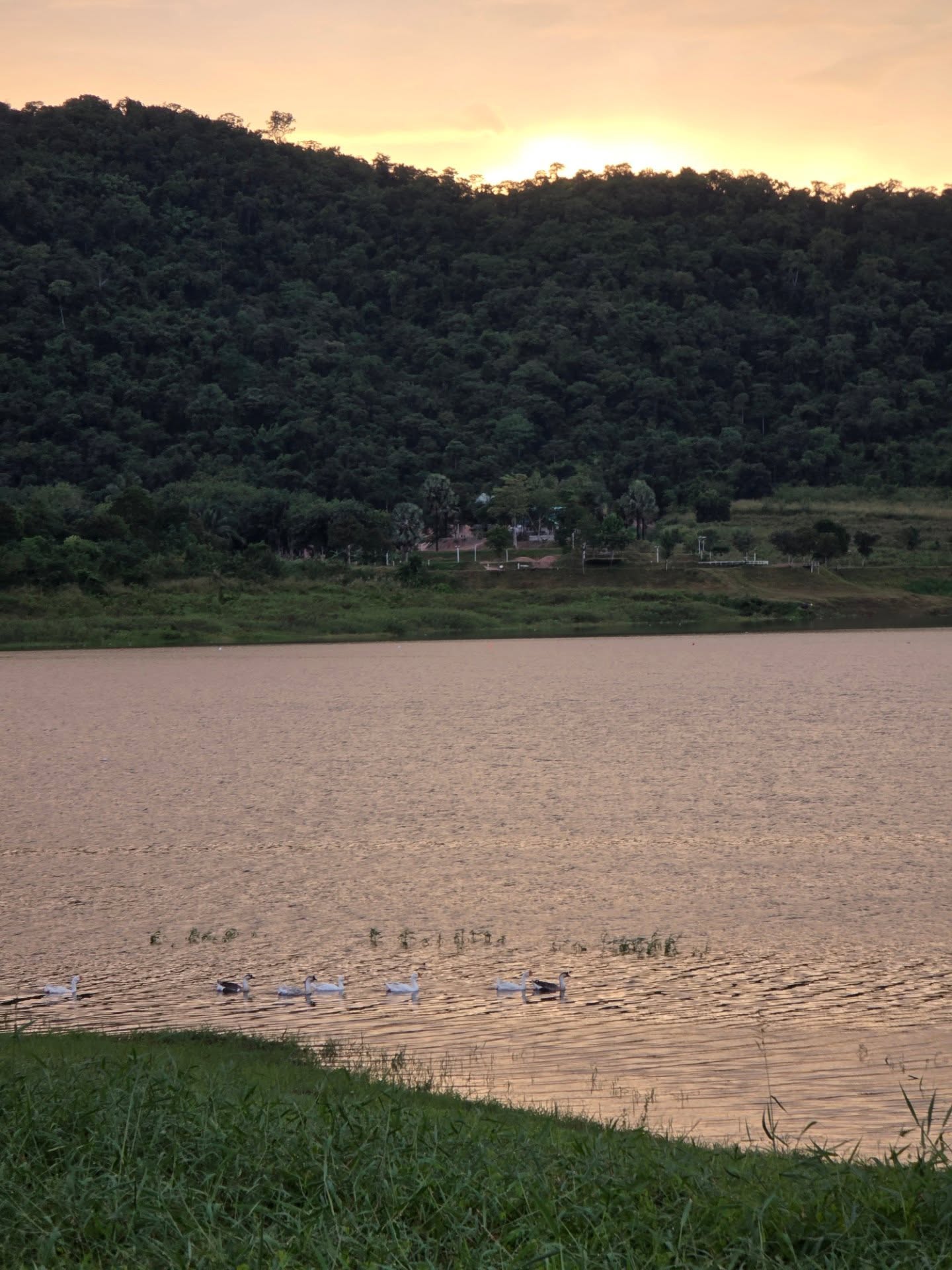 หยิ่น - อานันท์ ว่อง