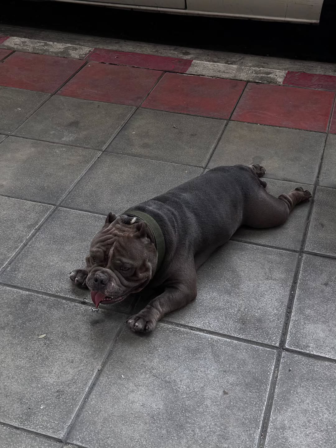 หยิ่น - อานันท์ ว่อง