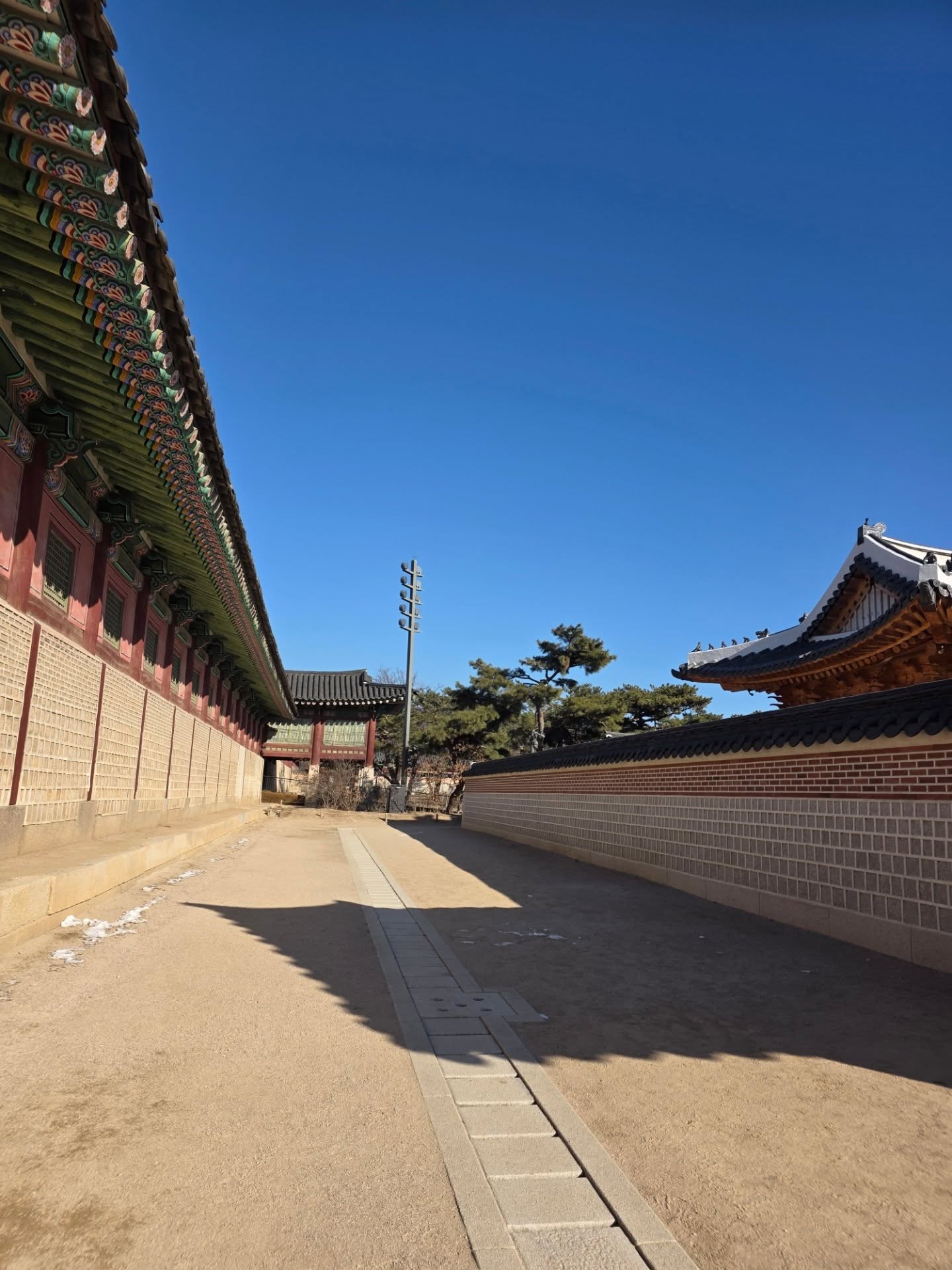 หยิ่น - อานันท์ ว่อง