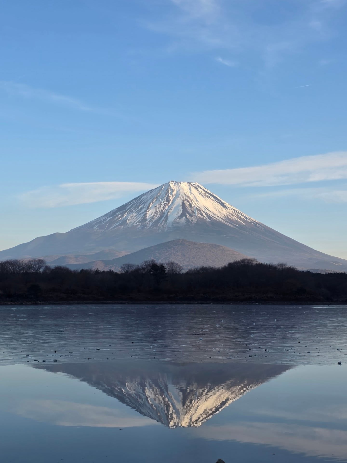 หยิ่น - อานันท์ ว่อง