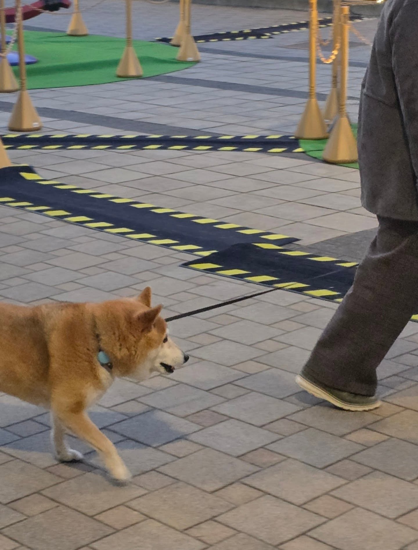 หยิ่น - อานันท์ ว่อง